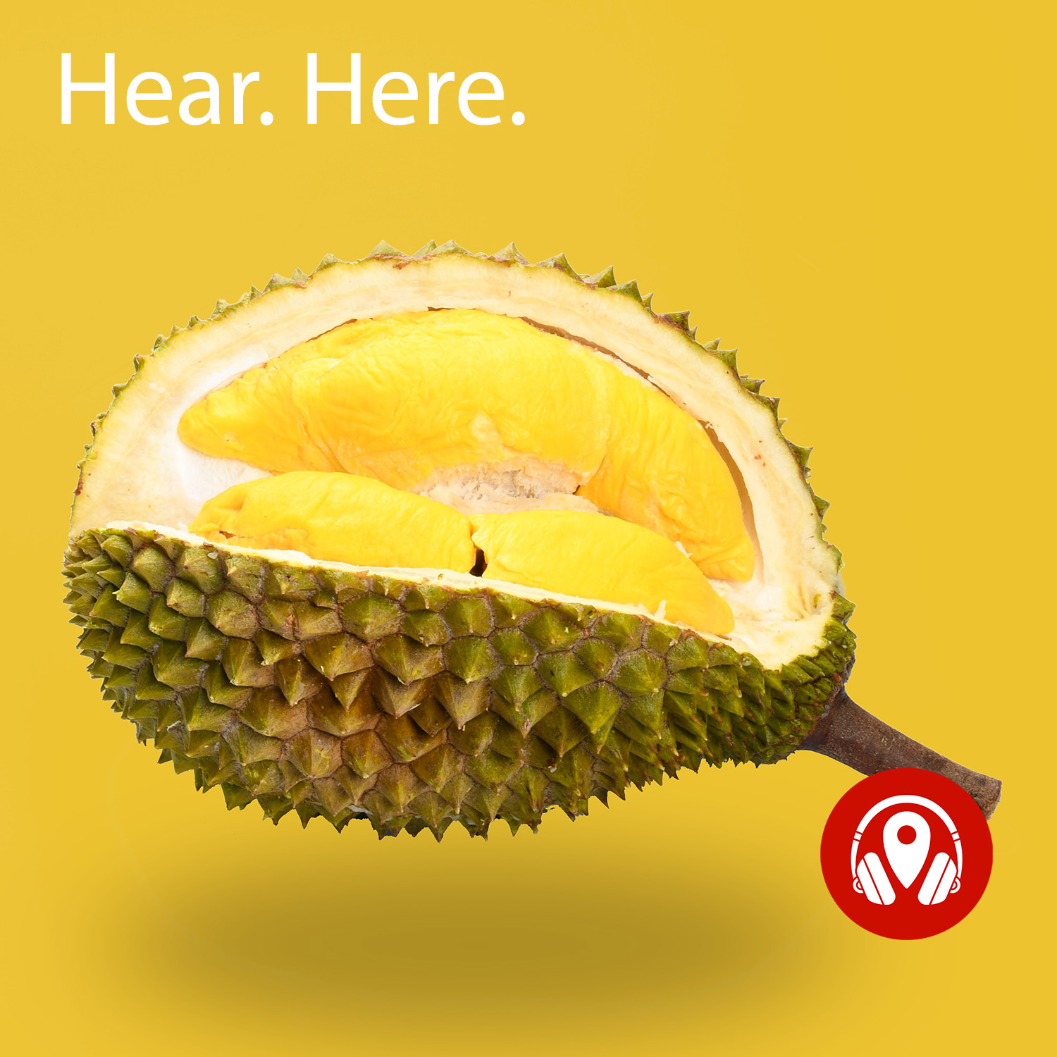 270020 Durians - The King of Fruits