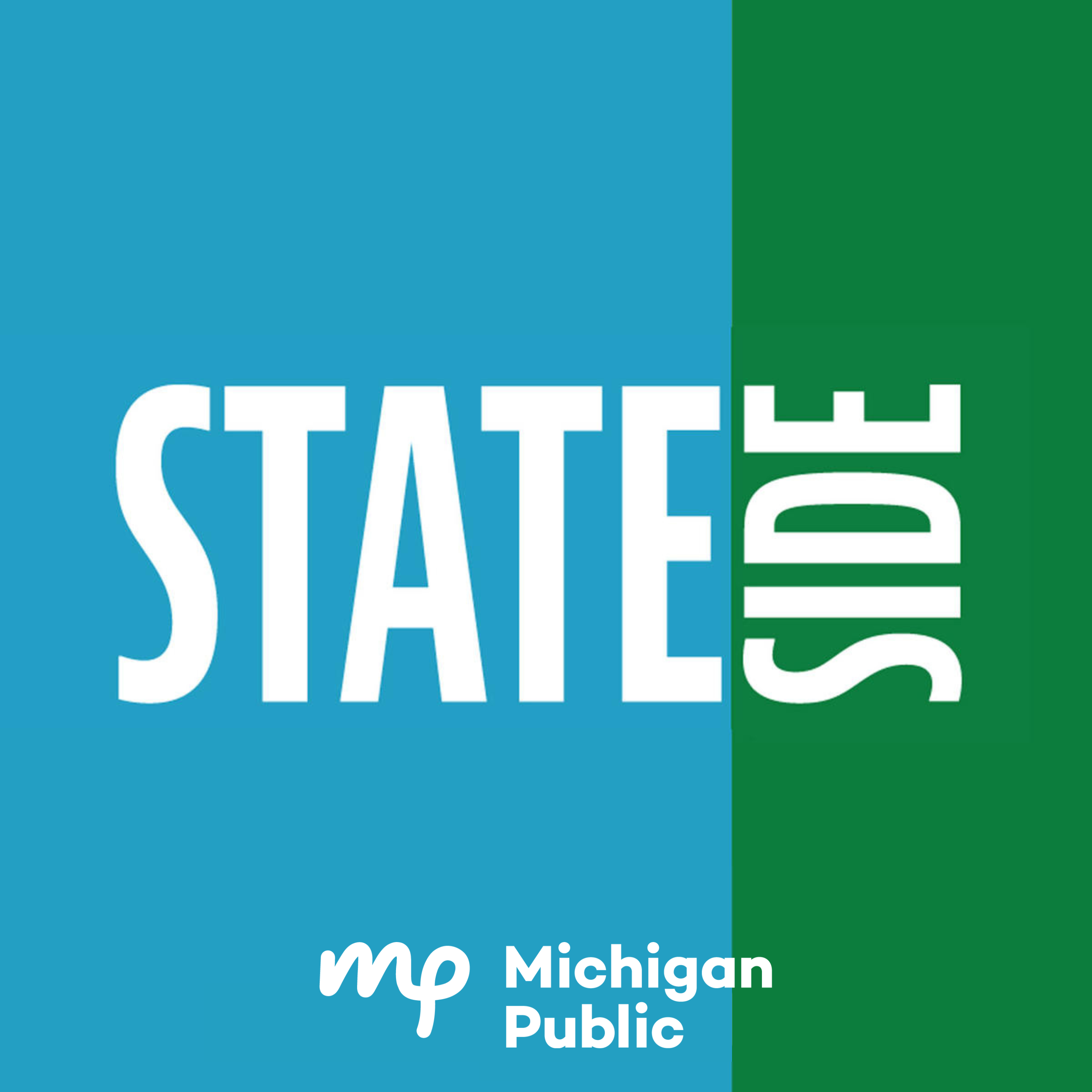 Revised Michigan Senate Maps Await Final Approval