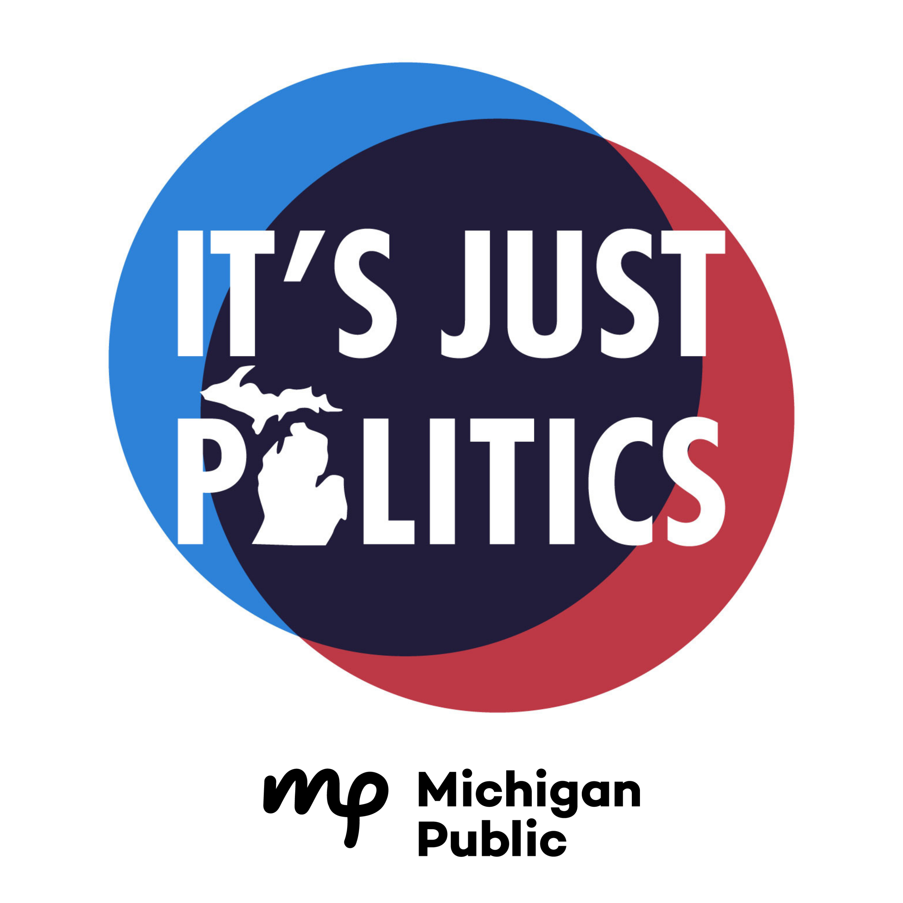 The Michigan Culture Wars