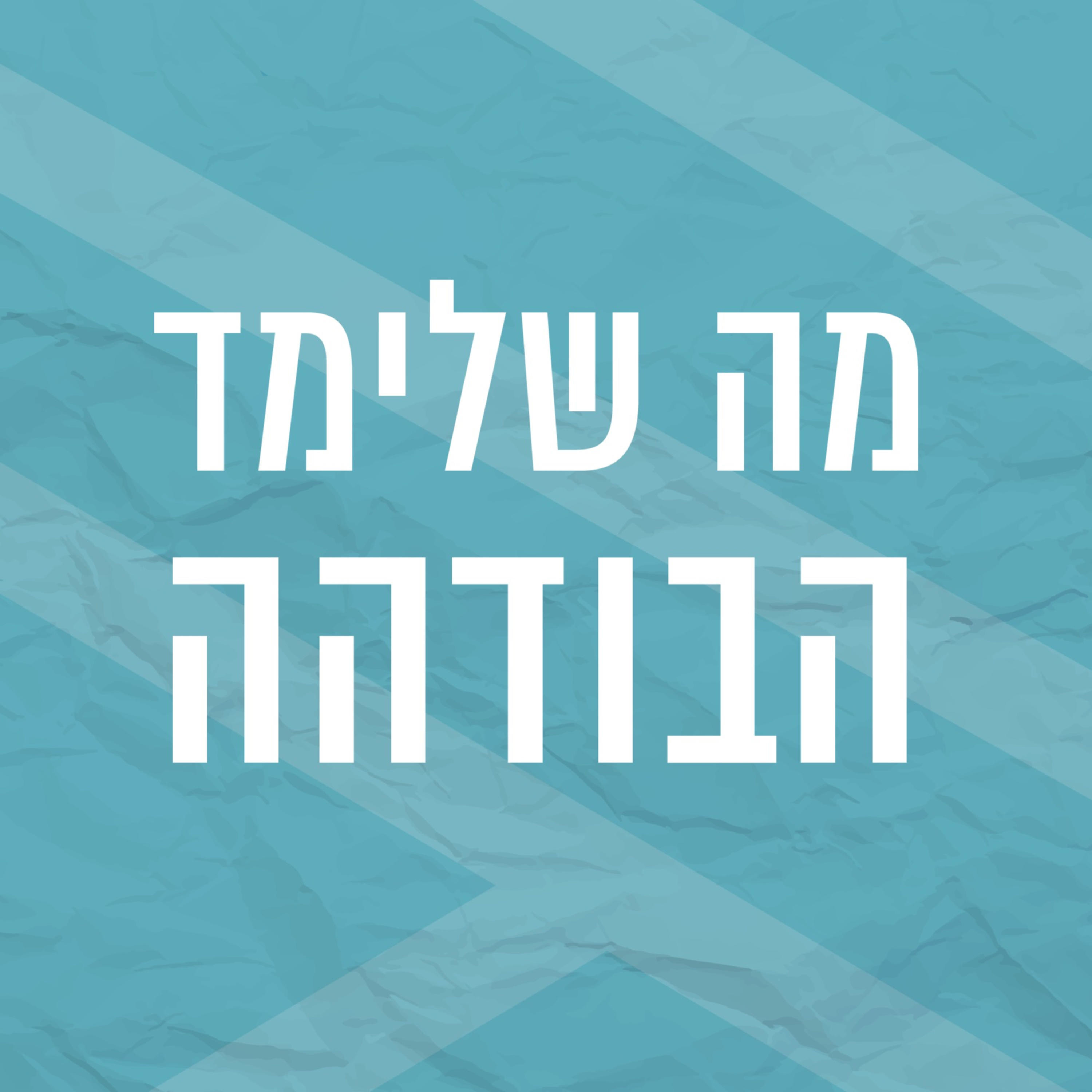 בודהה בעין הסערה | סתיו