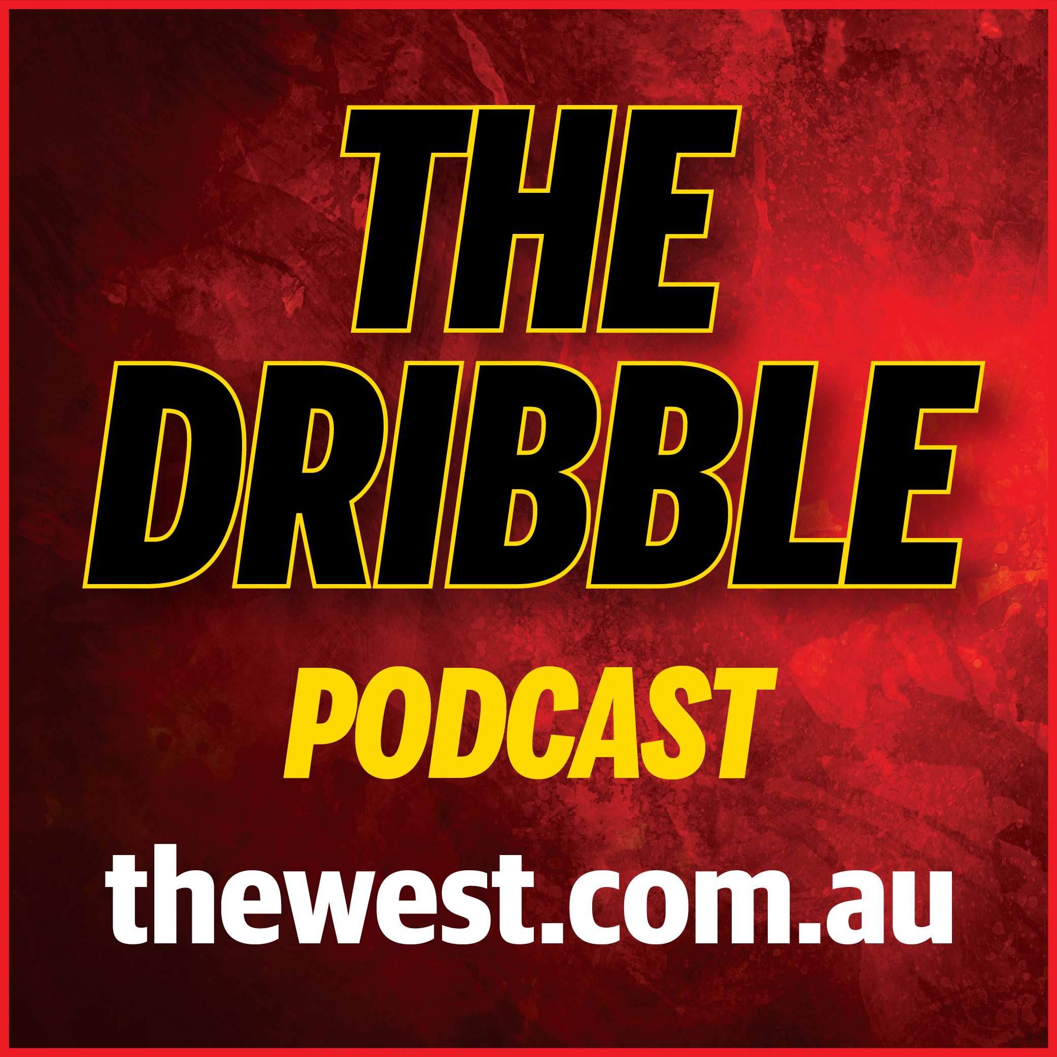 The Dribble: Wildcats centre Majok Majok and Lynx's 1992 grand final MVP Tanya Fisher