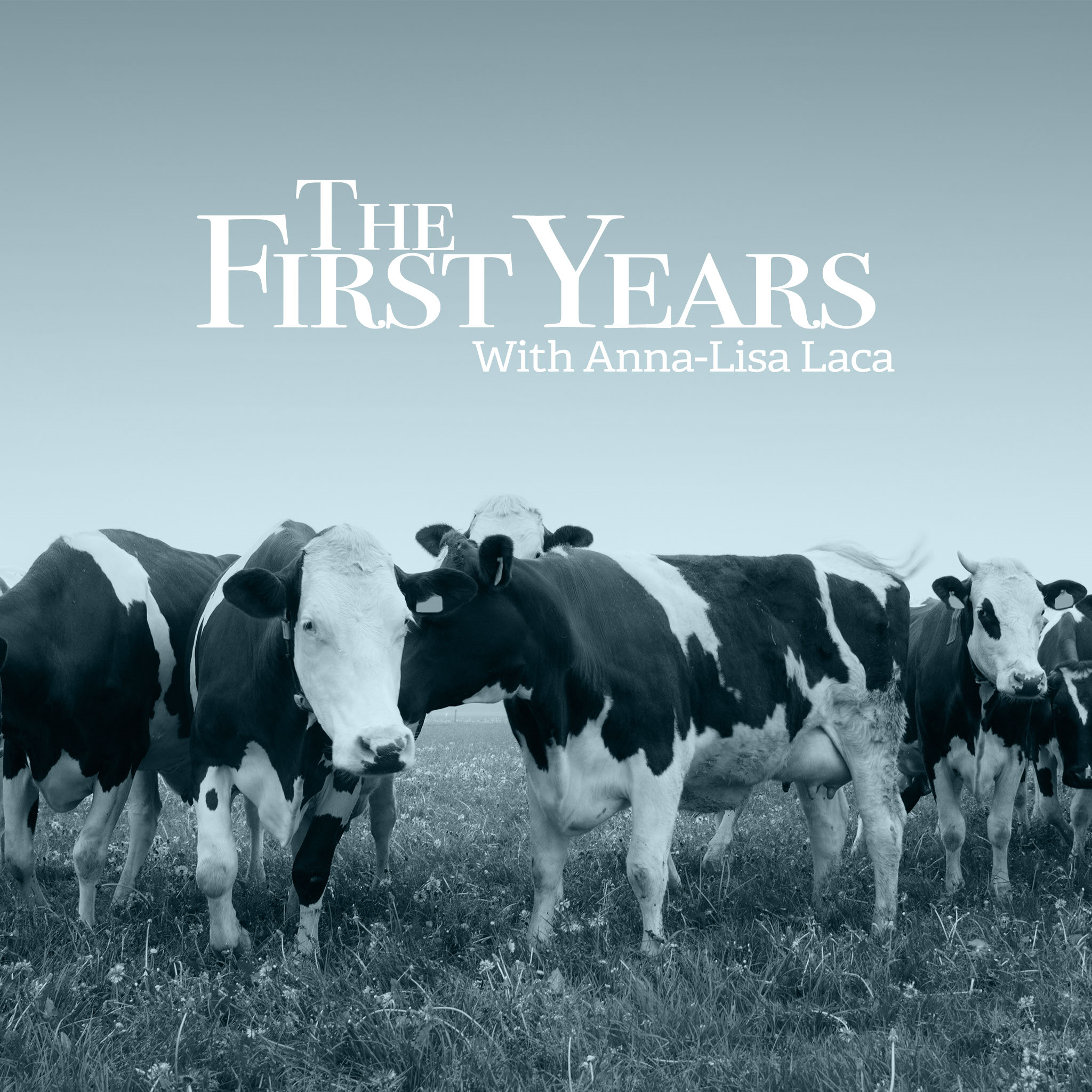 The First Years: Episode 007 Anita Van Der Laan