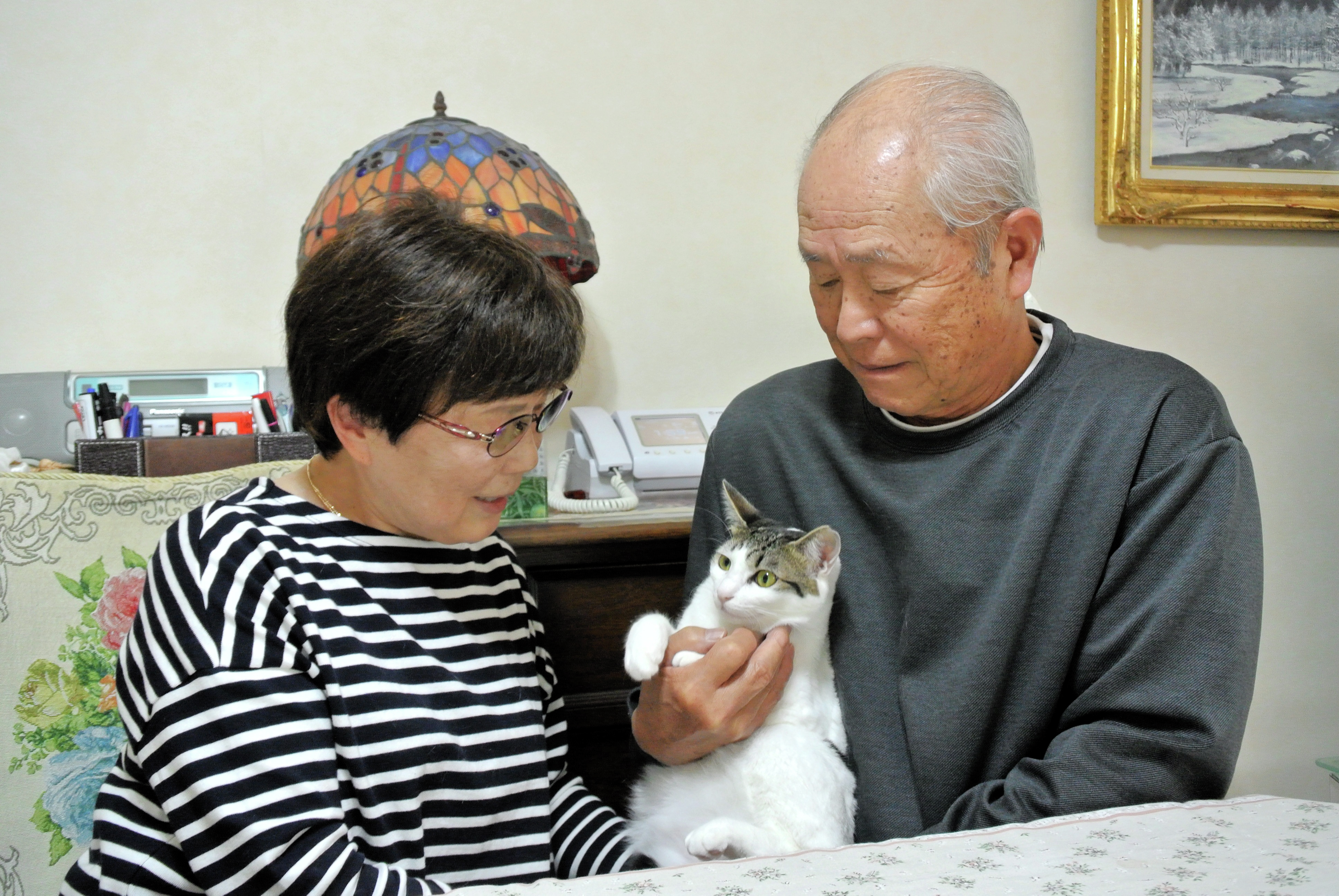 高齢 者 でも 飼える ペット 人気