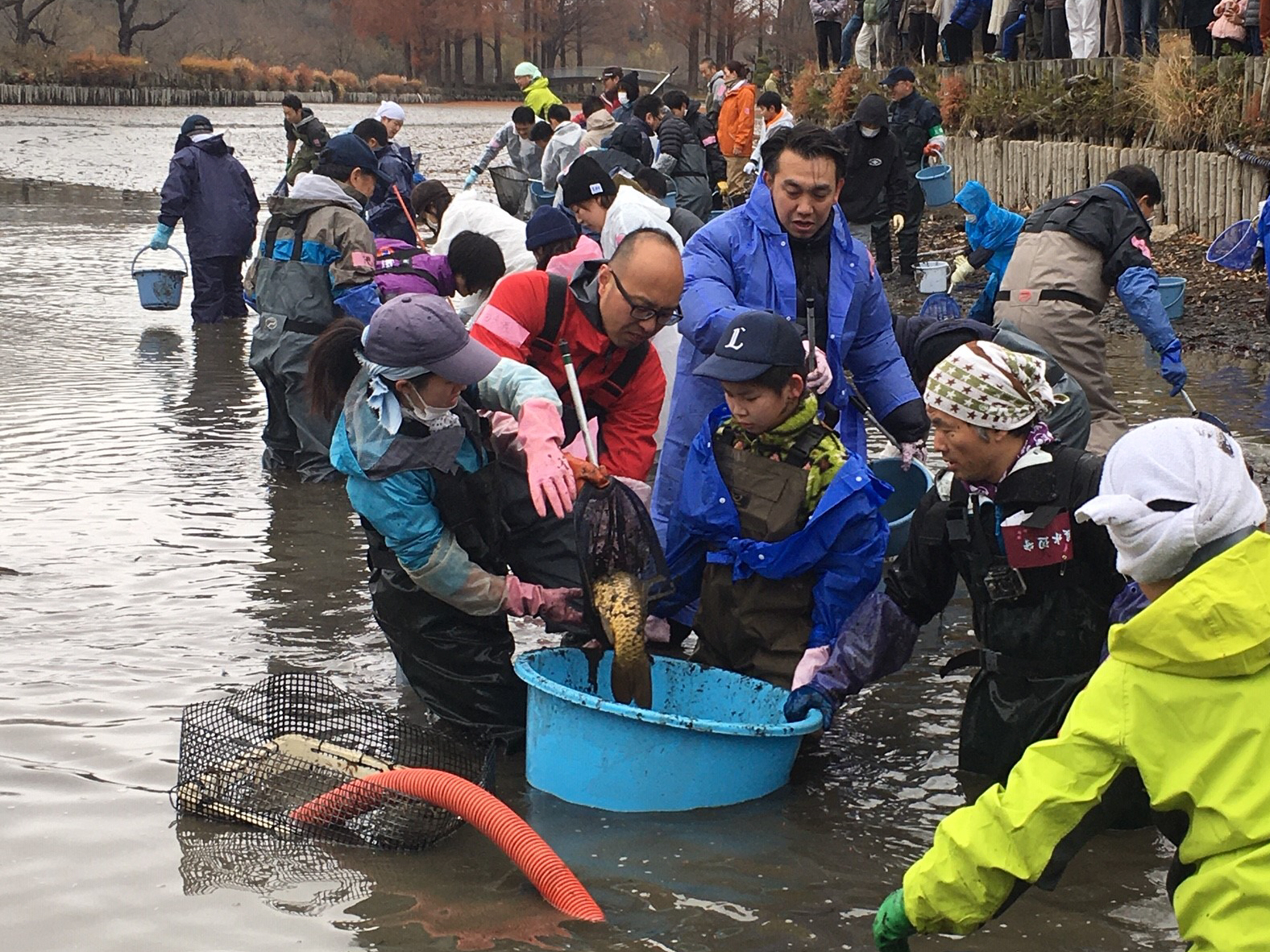 （再）池の水、抜くのは誰のため？　外来種はなぜ敵視されてしまうの #221