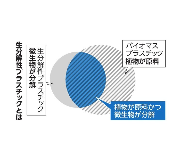 植物由来のプラスチックは自然界で分解される？　実際、そうとも限りません（生分解性プラを探る②） #543