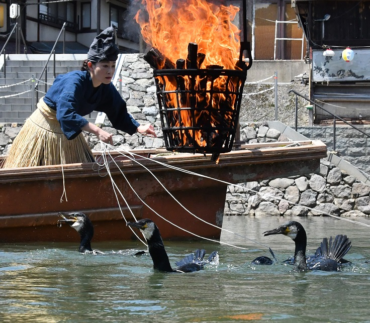 21年ぶりに国内で復活「放ち鵜飼」（前編）鵜匠さんに聞く、京都・宇治の鵜飼い #281