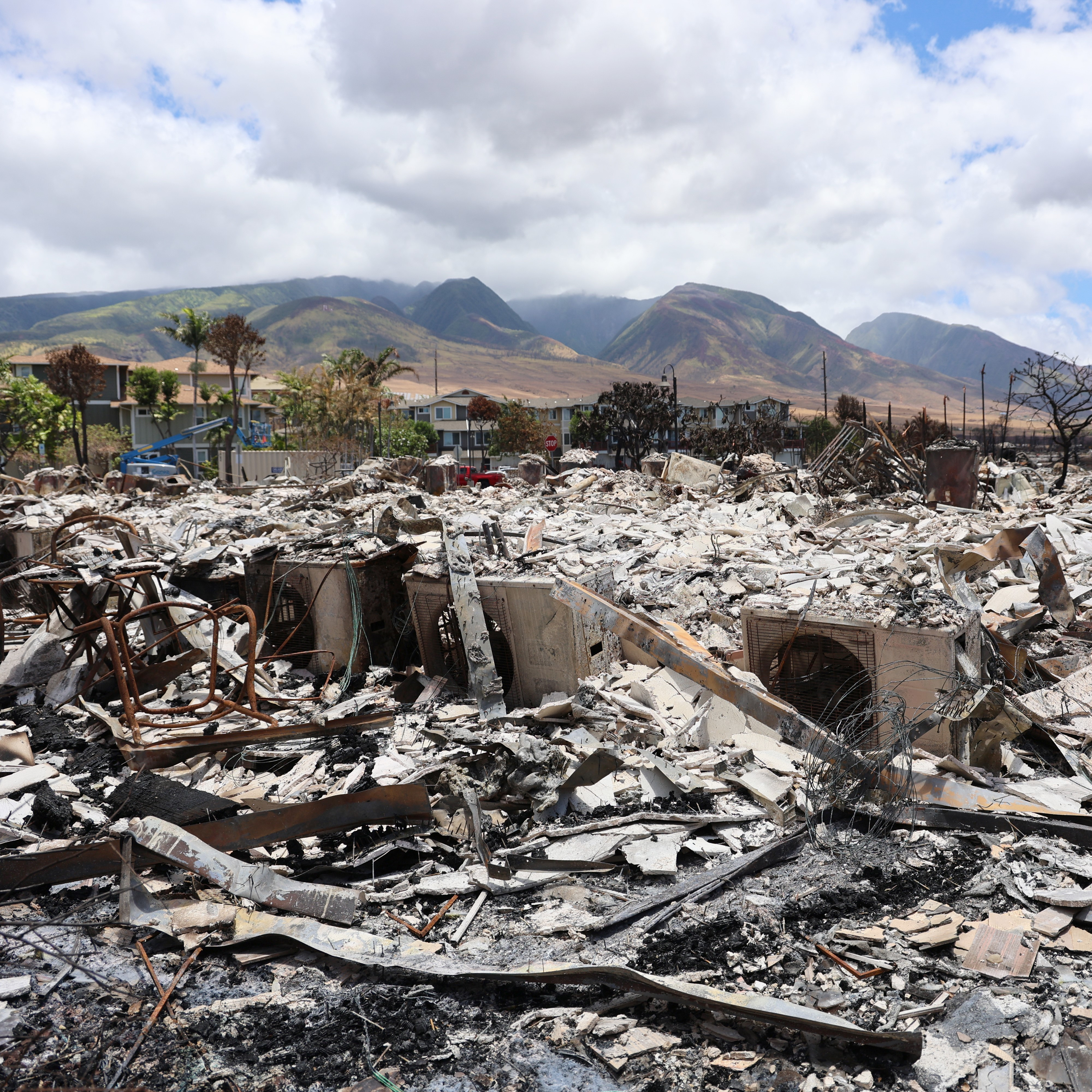 焼け落ちたハワイの街で目にしたものは　沸騰する地球　COP28① #521