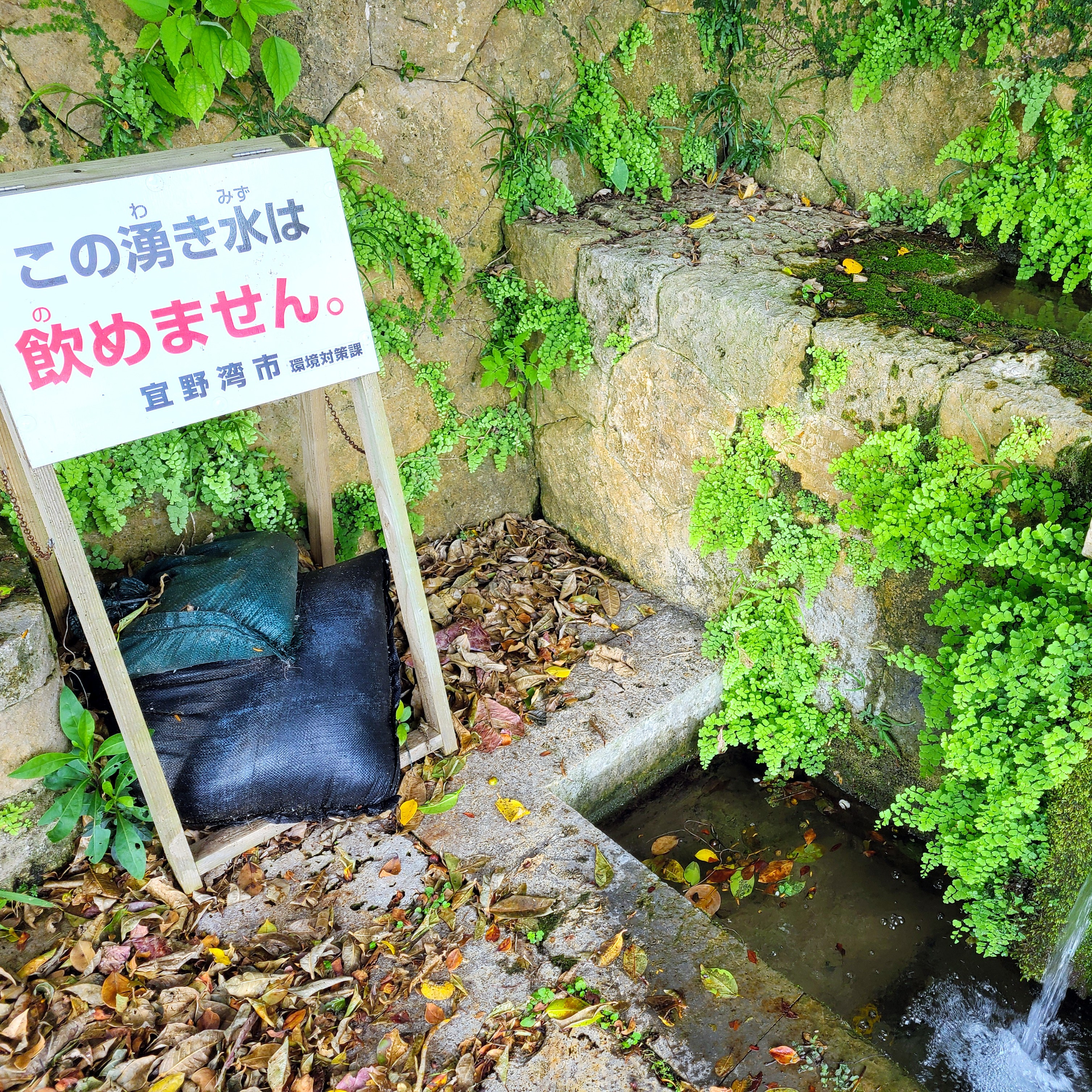 化学物質、東京や沖縄の水から検出　消された水汚染（前編） #159