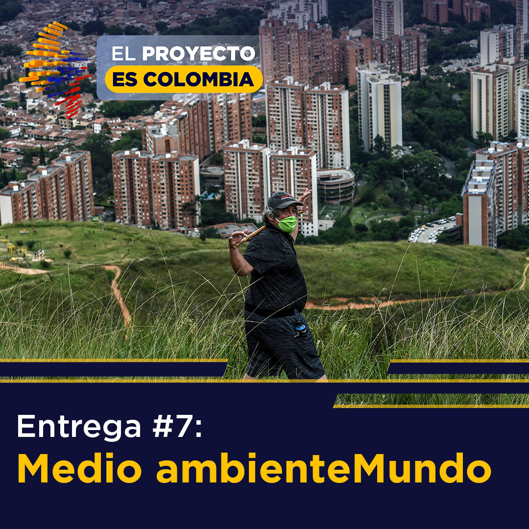 Entrega 07: Medio Ambiente Mundo, en  El proyecto es Colombia