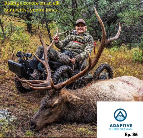 Riding a coyote on an elk hunt with Lynette Jones. - Adaptive Outdoorsman 