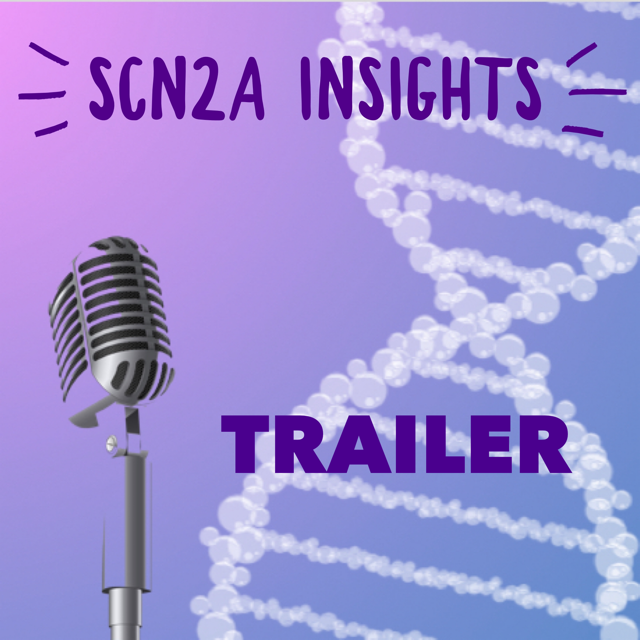 Introducing 'SCN2A Insights'