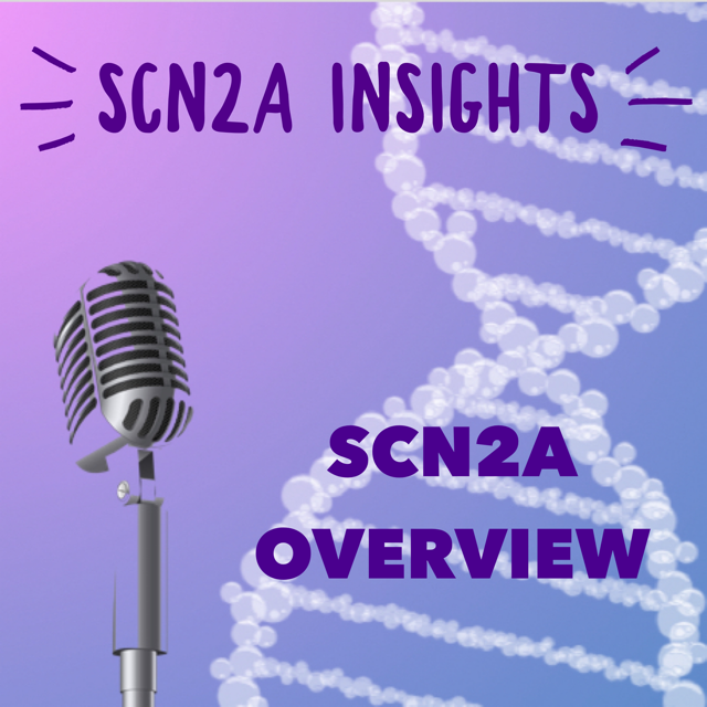 SCN2A Overview