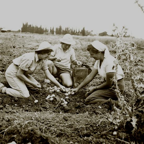 הציונות: הסיפור הנשי - פרק 3