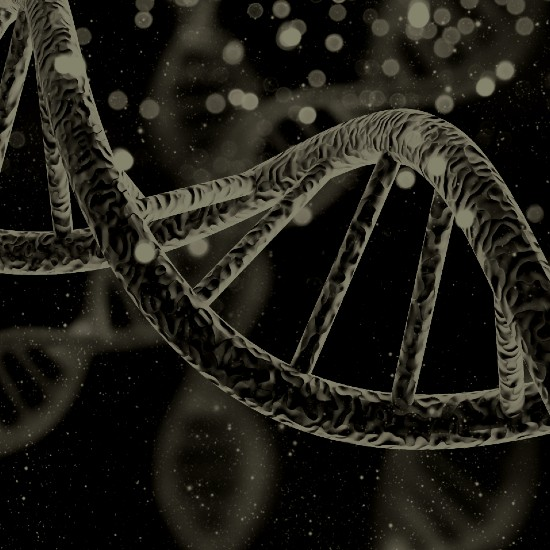 הגנום האנושי - חלק 1
