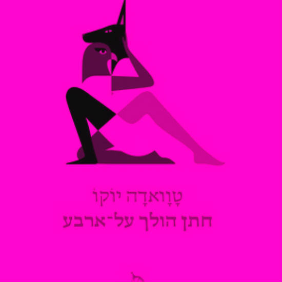 החתול והכלב