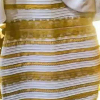 El vestido que dividió a la sociedad y otros ejemplos en los que internet nos la ha jugado