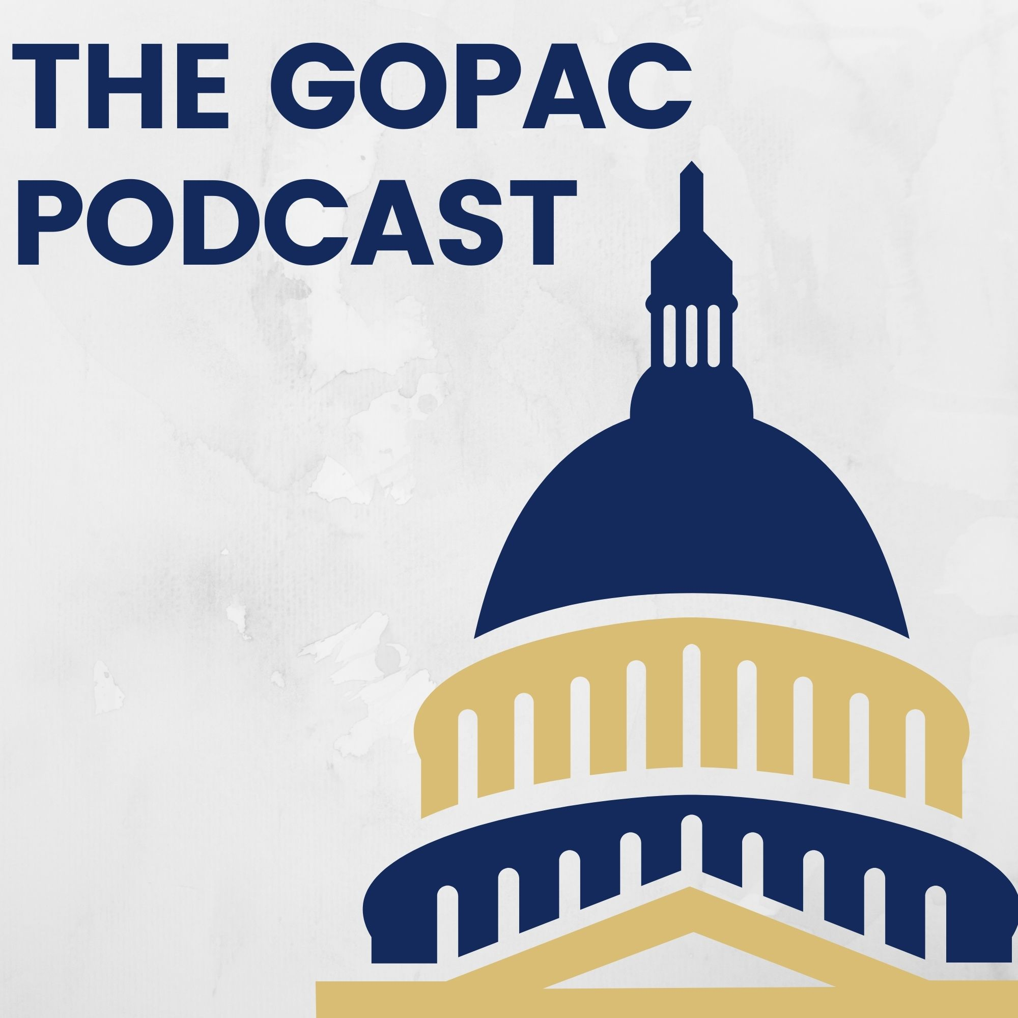 Pollster Adam Geller with details of a GOPAC sanctioned national survey of Republican voters