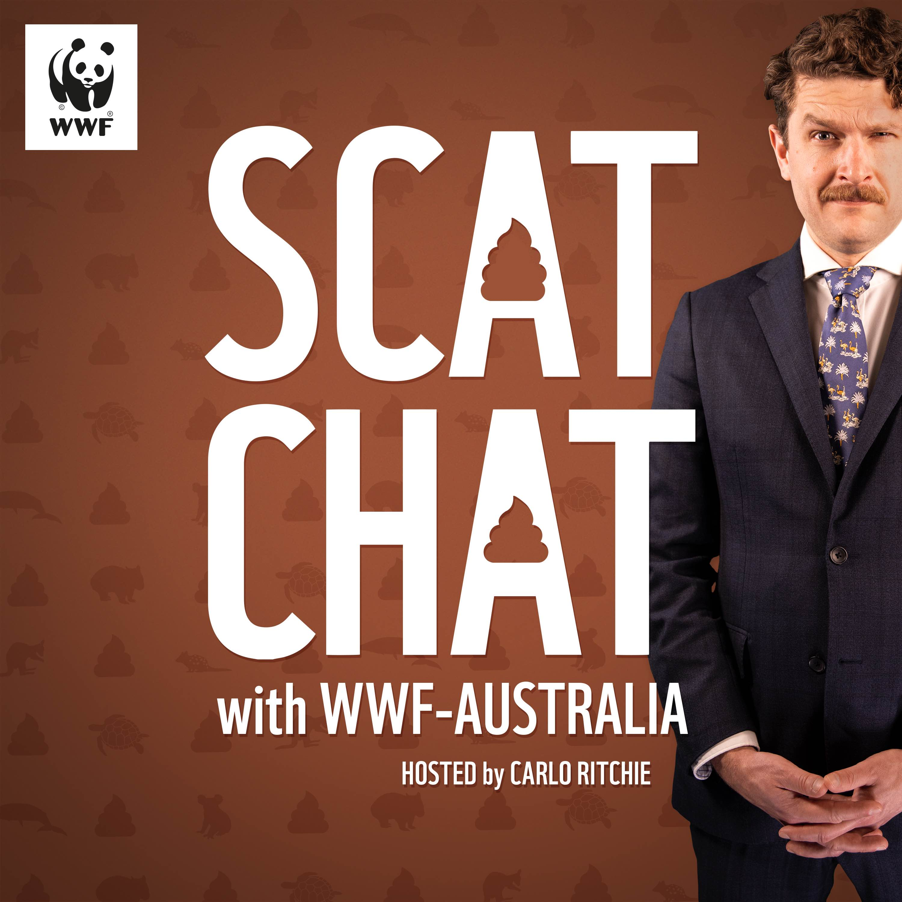 Episode 1: How do you find a koala that leaves no trail?