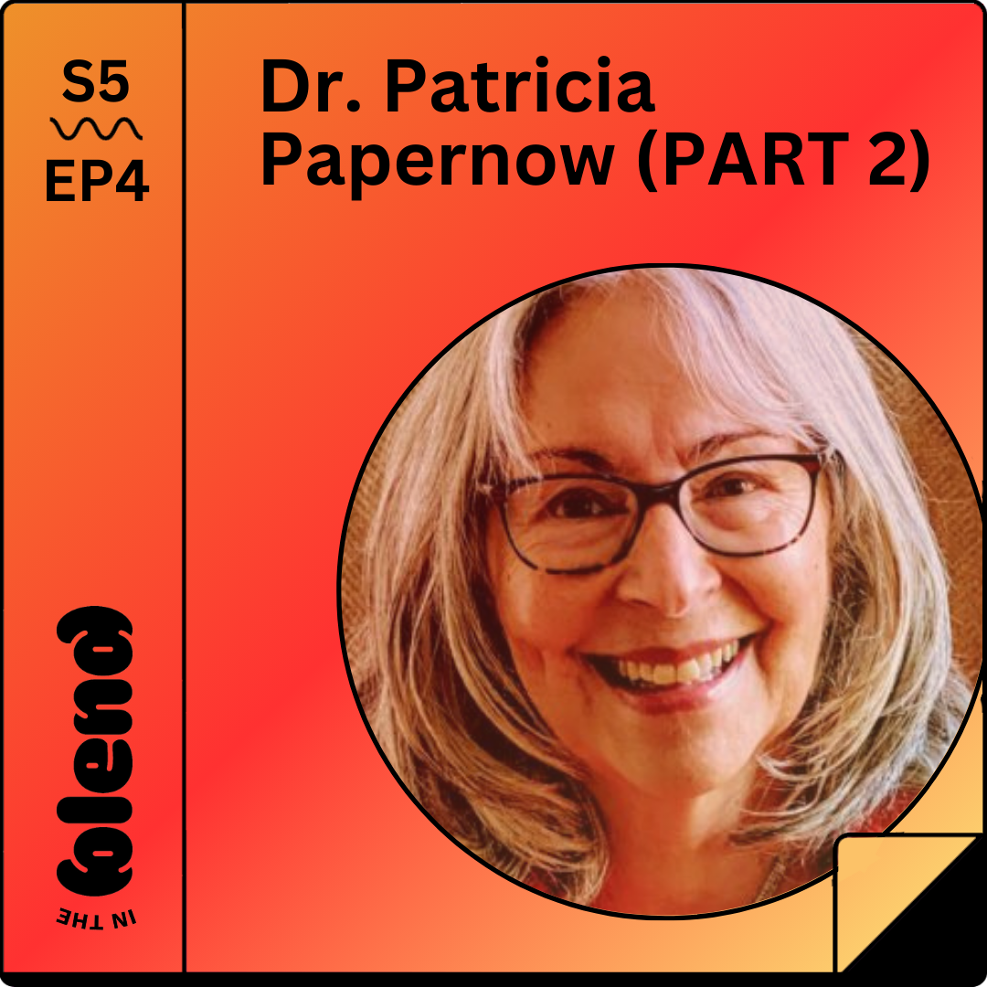 Part 2 - Patricia Papernow's Approach to the 5 Key Stepfamily Family Challenges