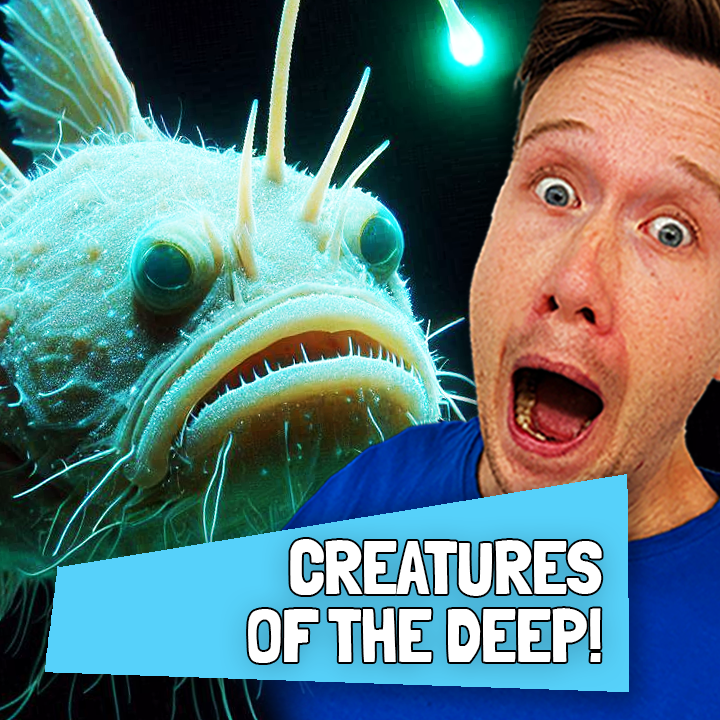 DEEP SEA DETECTIVES: Strange Creatures of the Deep🦈