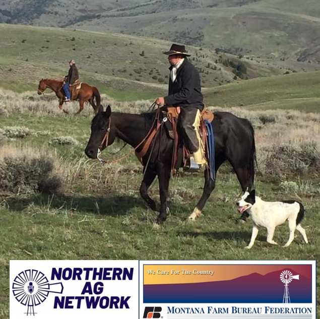 Jacob Stenberg - Montana Farm Bureau Young Producer Series