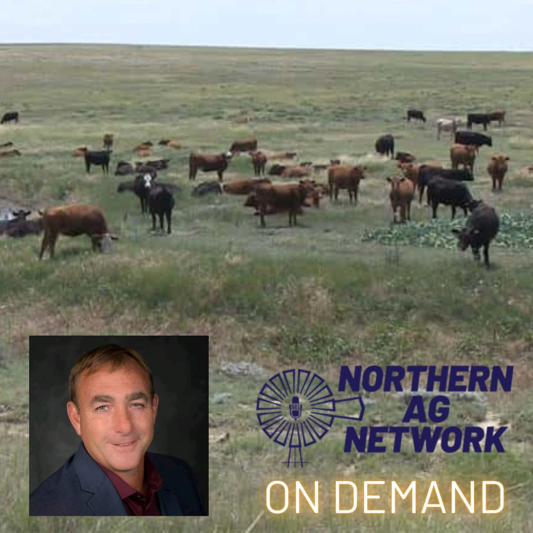 What is Anthrax? With ND State Veterinarian Ethan Andress