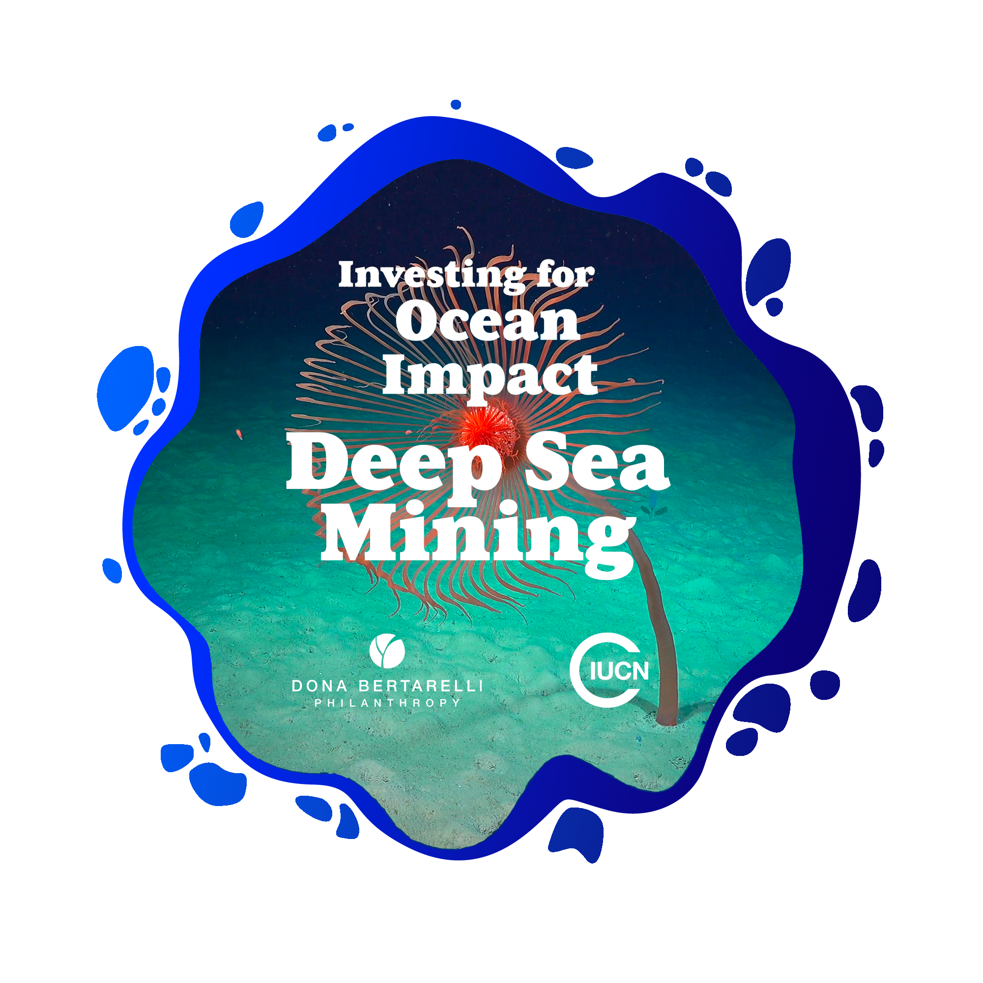 2. Deep Sea Mining: Good or Bad Investment?