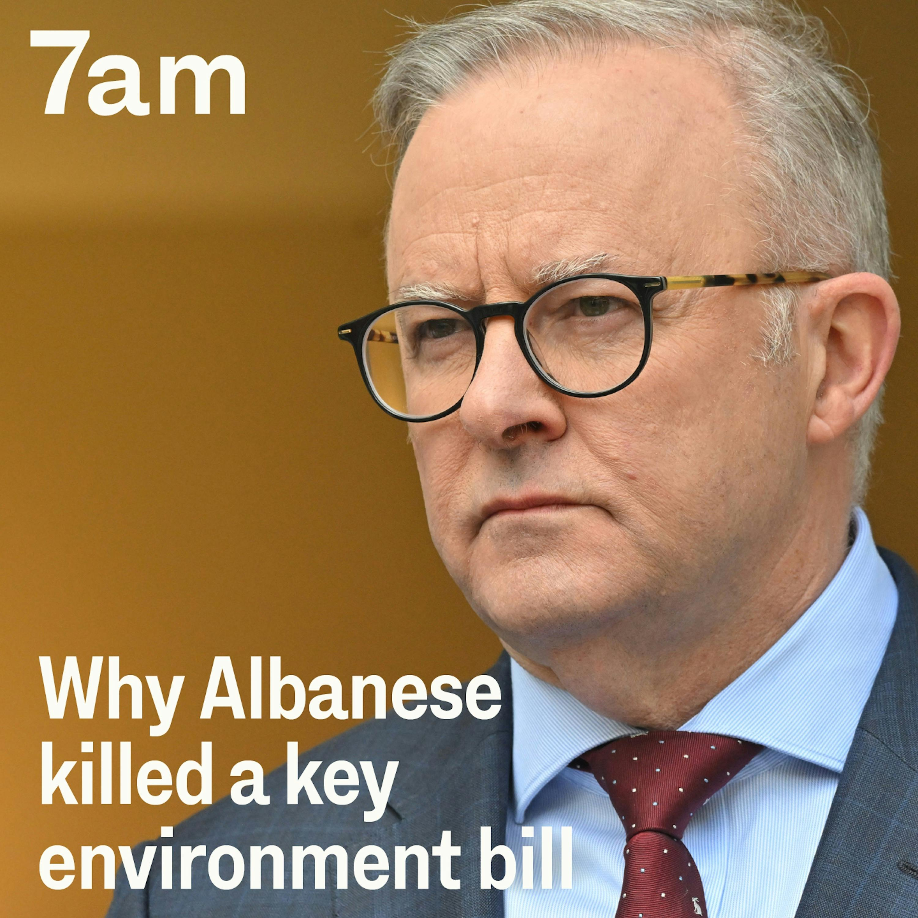 Why Albanese killed a key environment bill - podcast episode cover