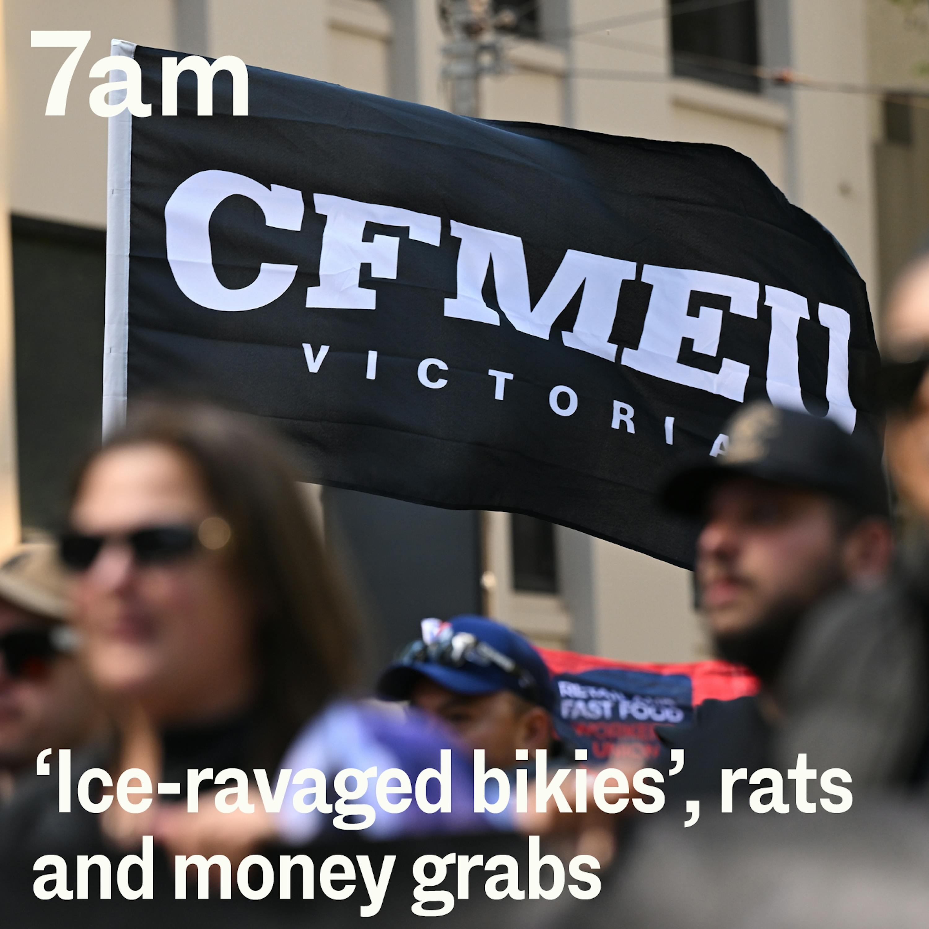 ‘Ice-ravaged bikies’, rats and money grabs: Inside the clean up at the CFMEU - podcast episode cover