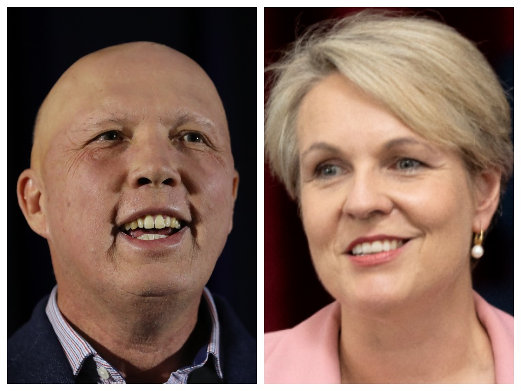 Plibersek's stunning swipe at Dutton (4BC)