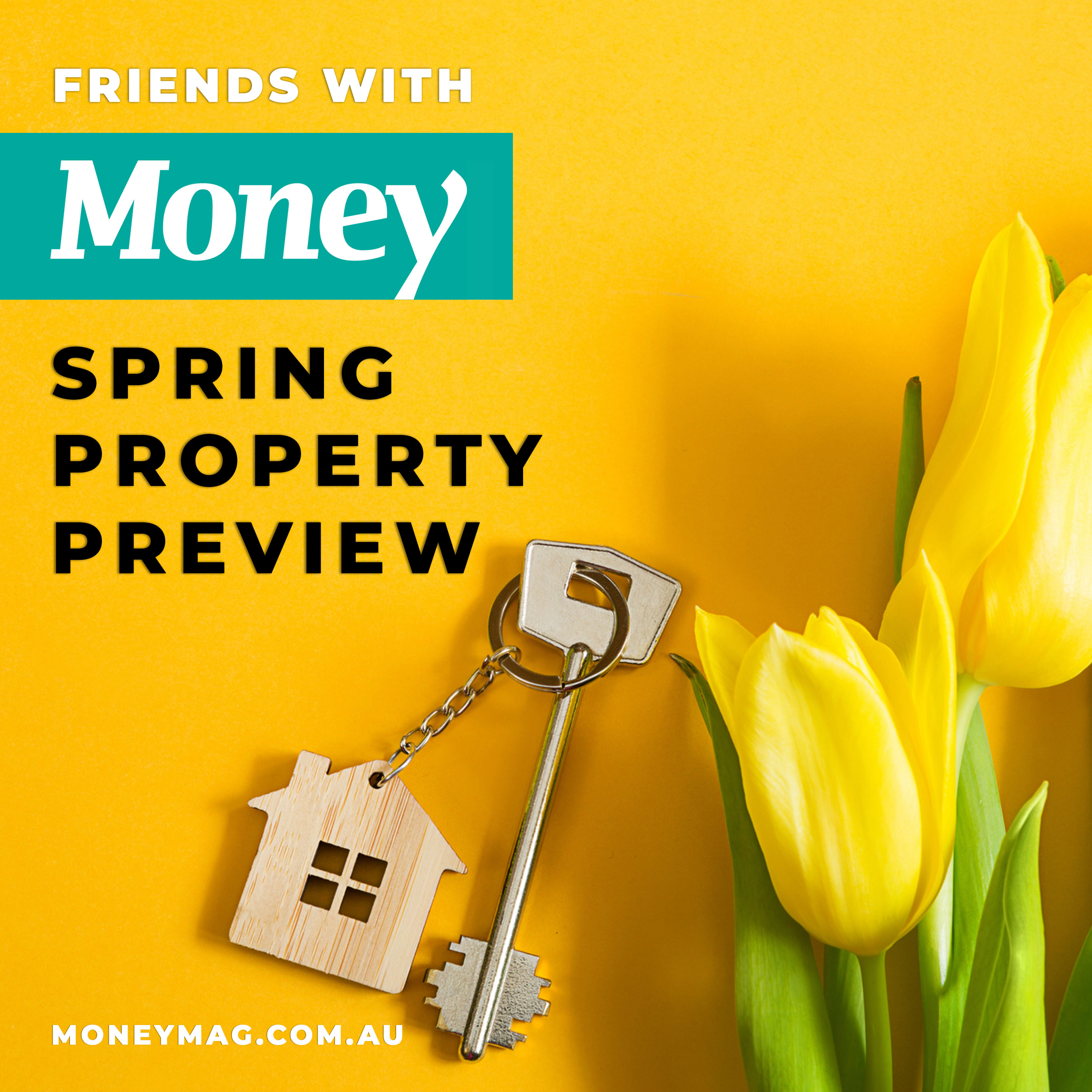 Spring property preview