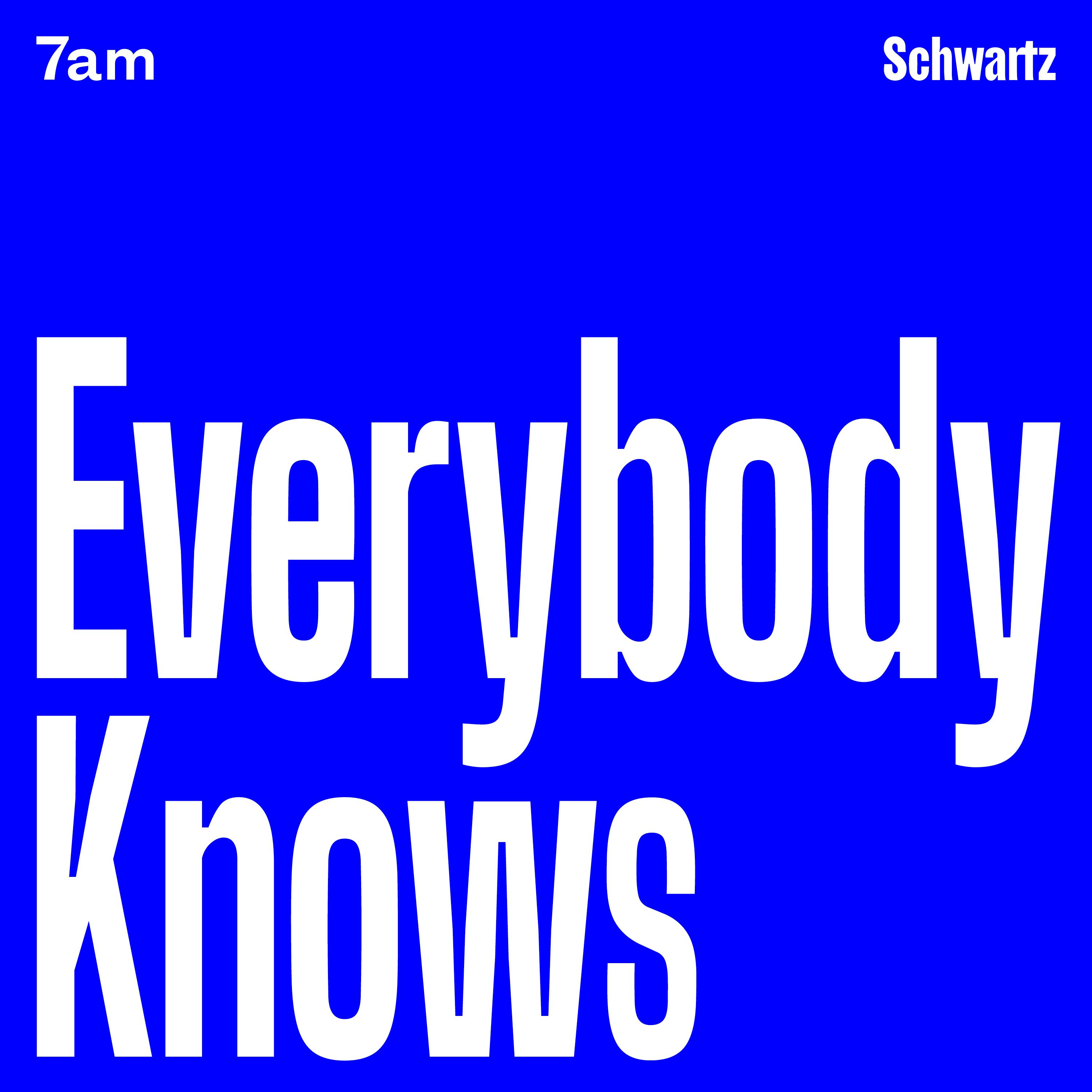 Introducing 'Everybody Knows': A new investigative series from 7am - podcast episode cover