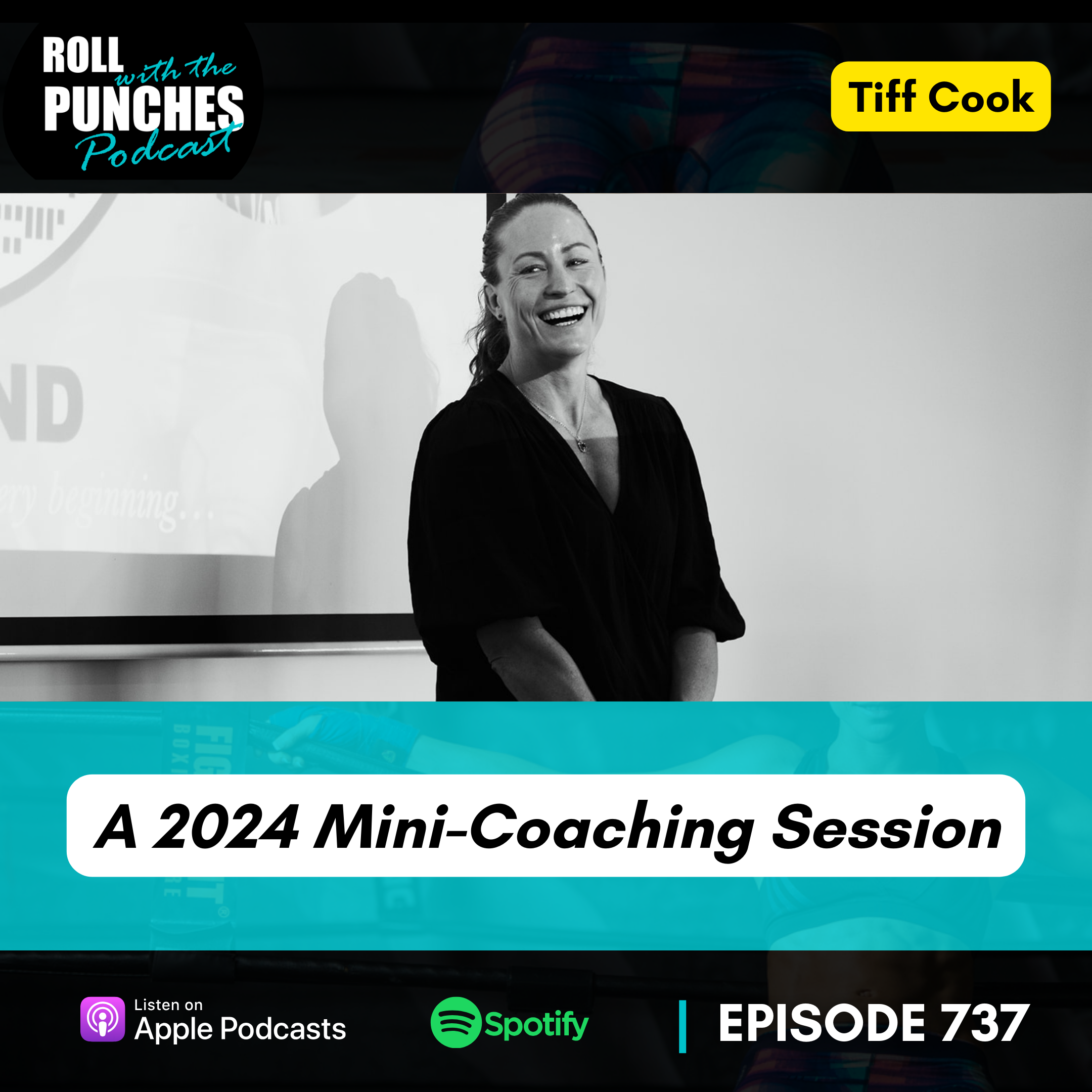 A 2024 Mini-Coaching Session | Tiff Cook - 737