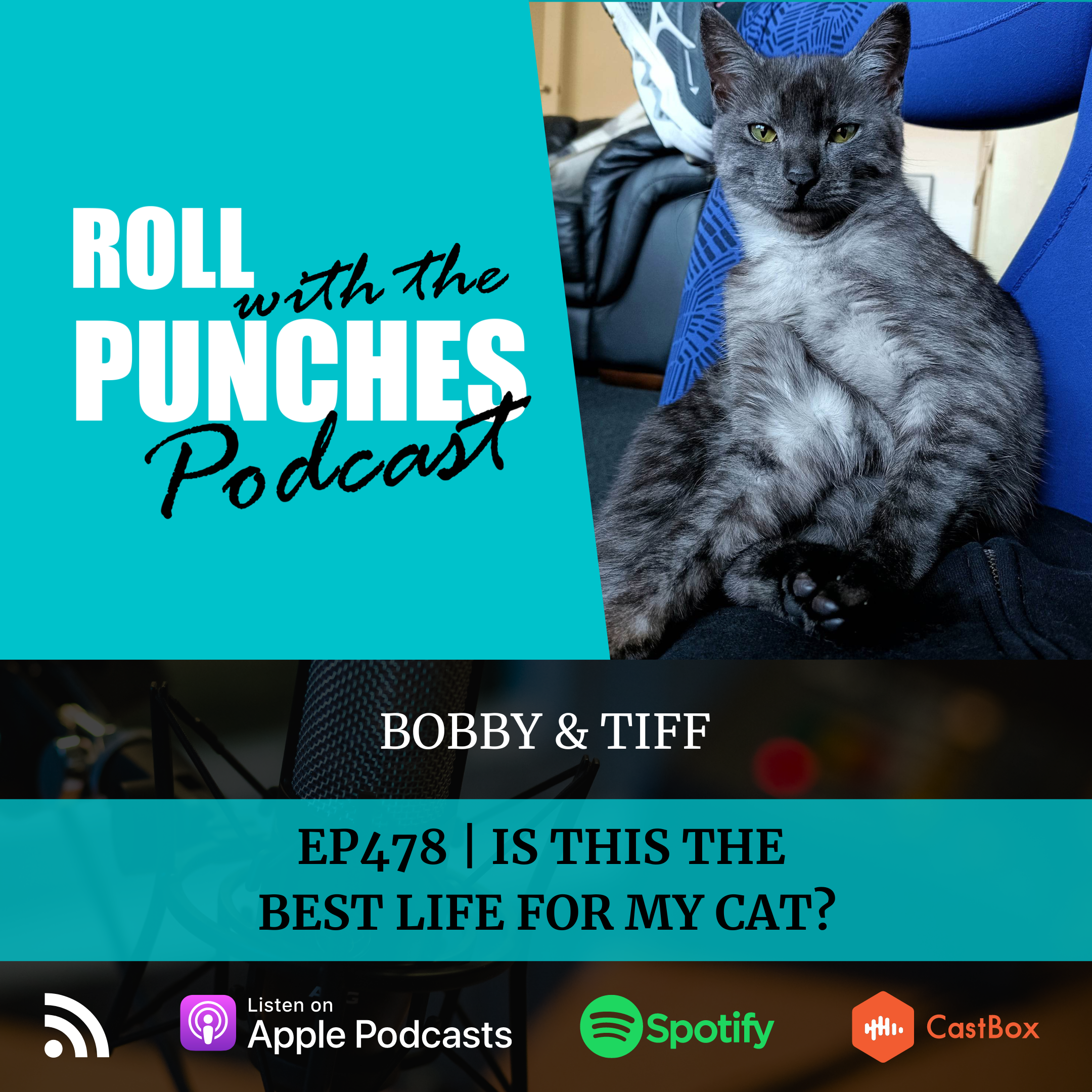 Is This The Best Life For My Cat? | Bobby & Tiff - 478