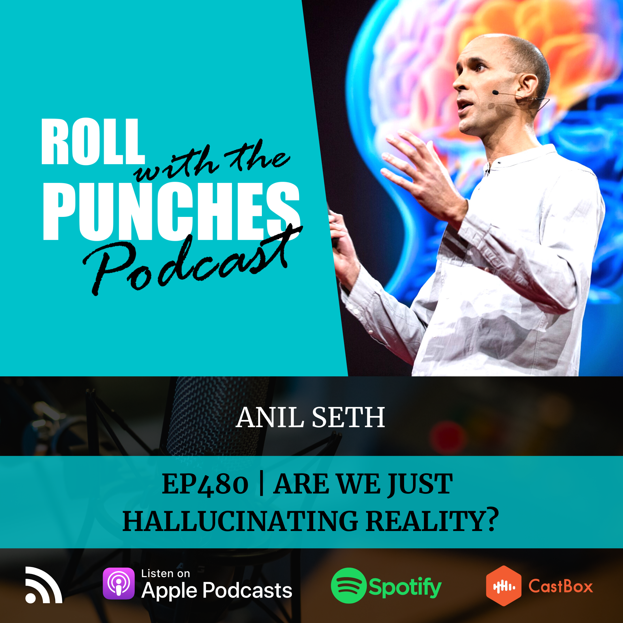 Are We Just Hallucinating Reality? | Anil Seth - 480