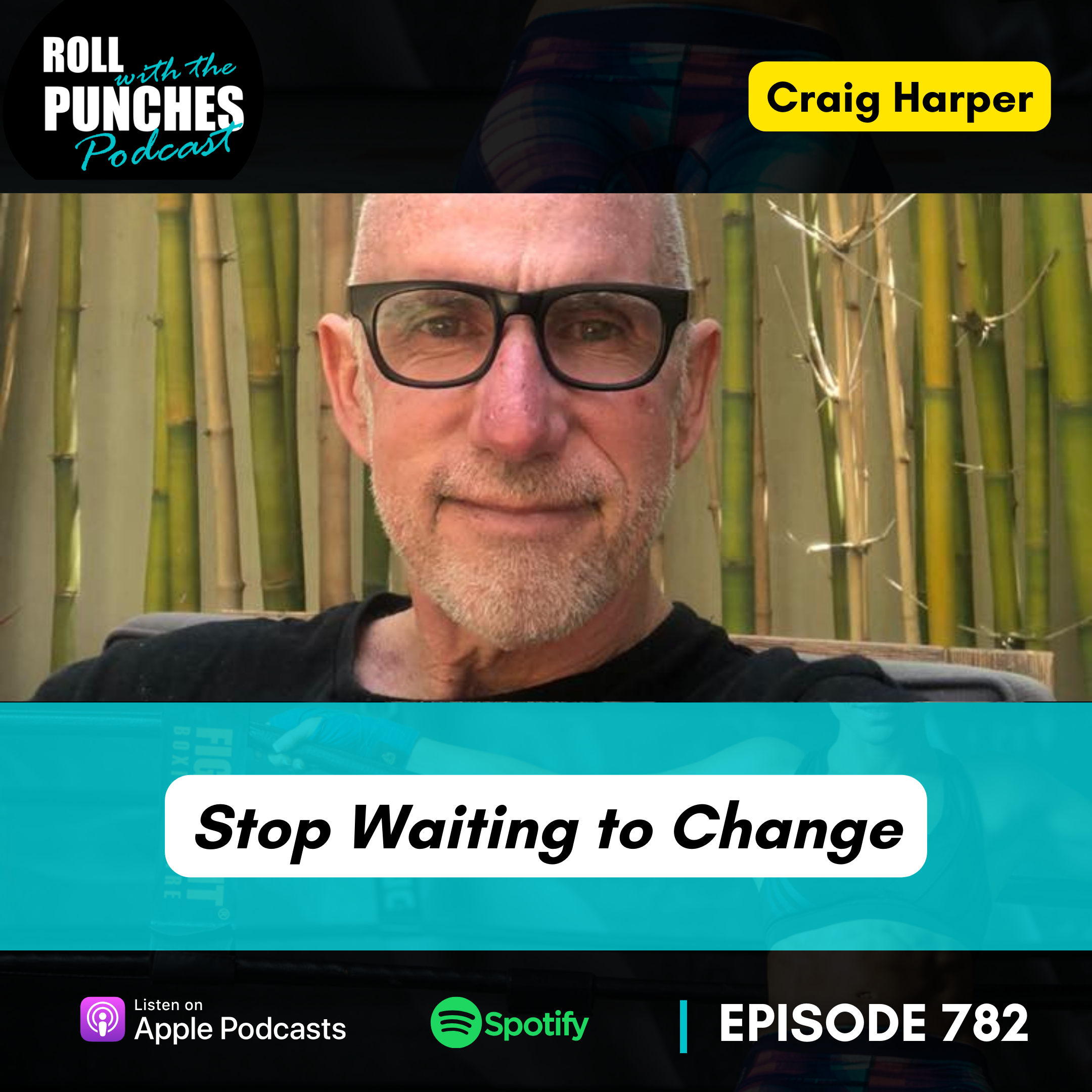 Stop Waiting to Change | Craig Harper - 782