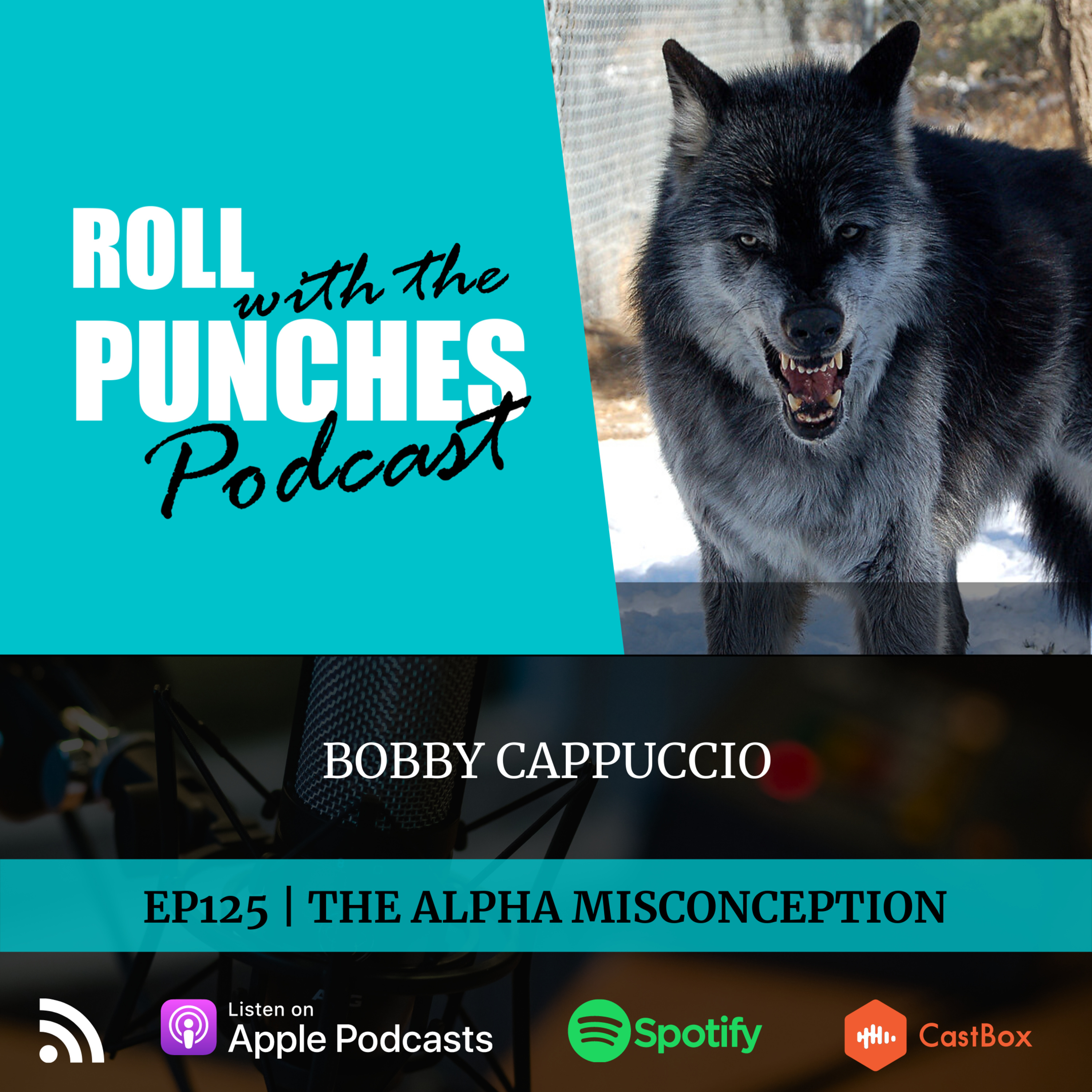 EP125 The Alpha Misconception | Bobby Cappuccio