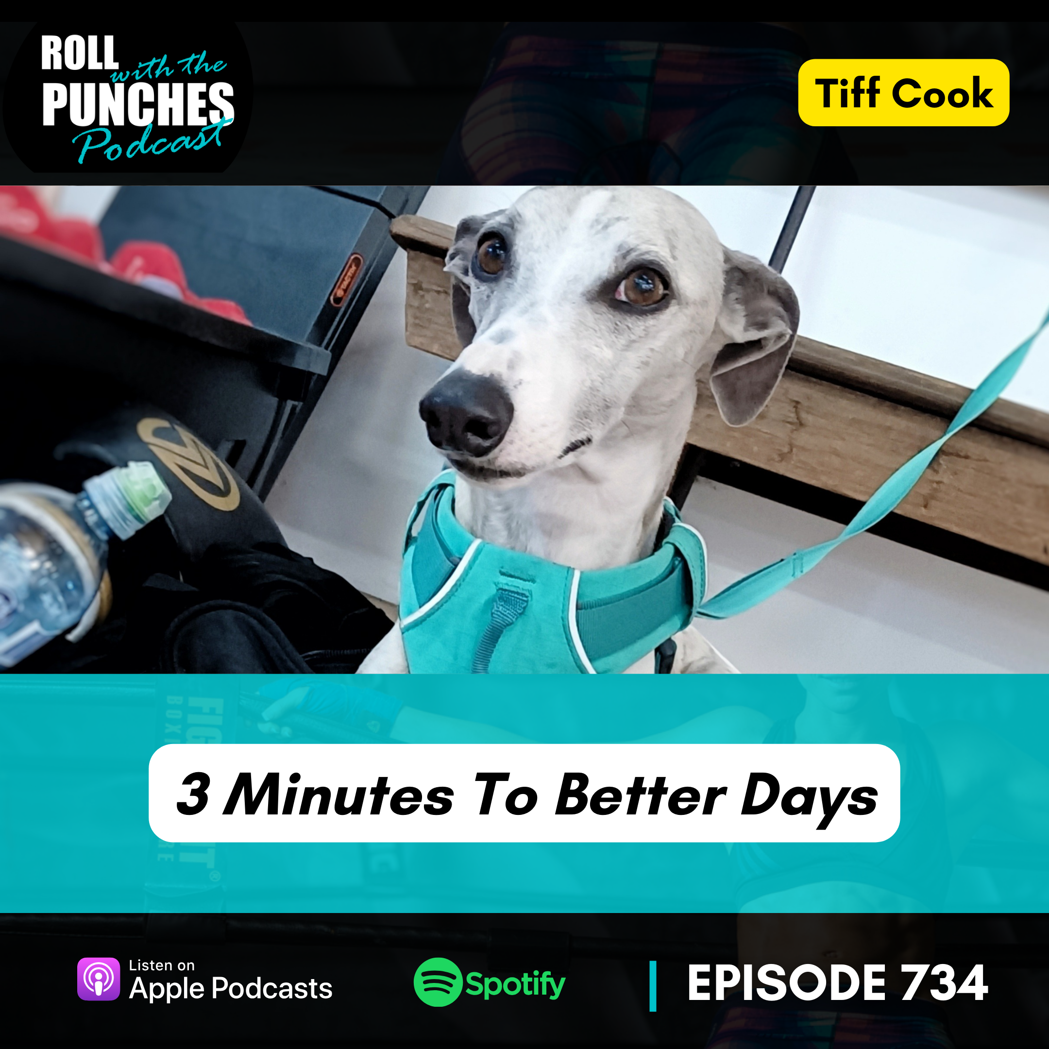3 Minutes To Better Days | Tiff Cook - 734