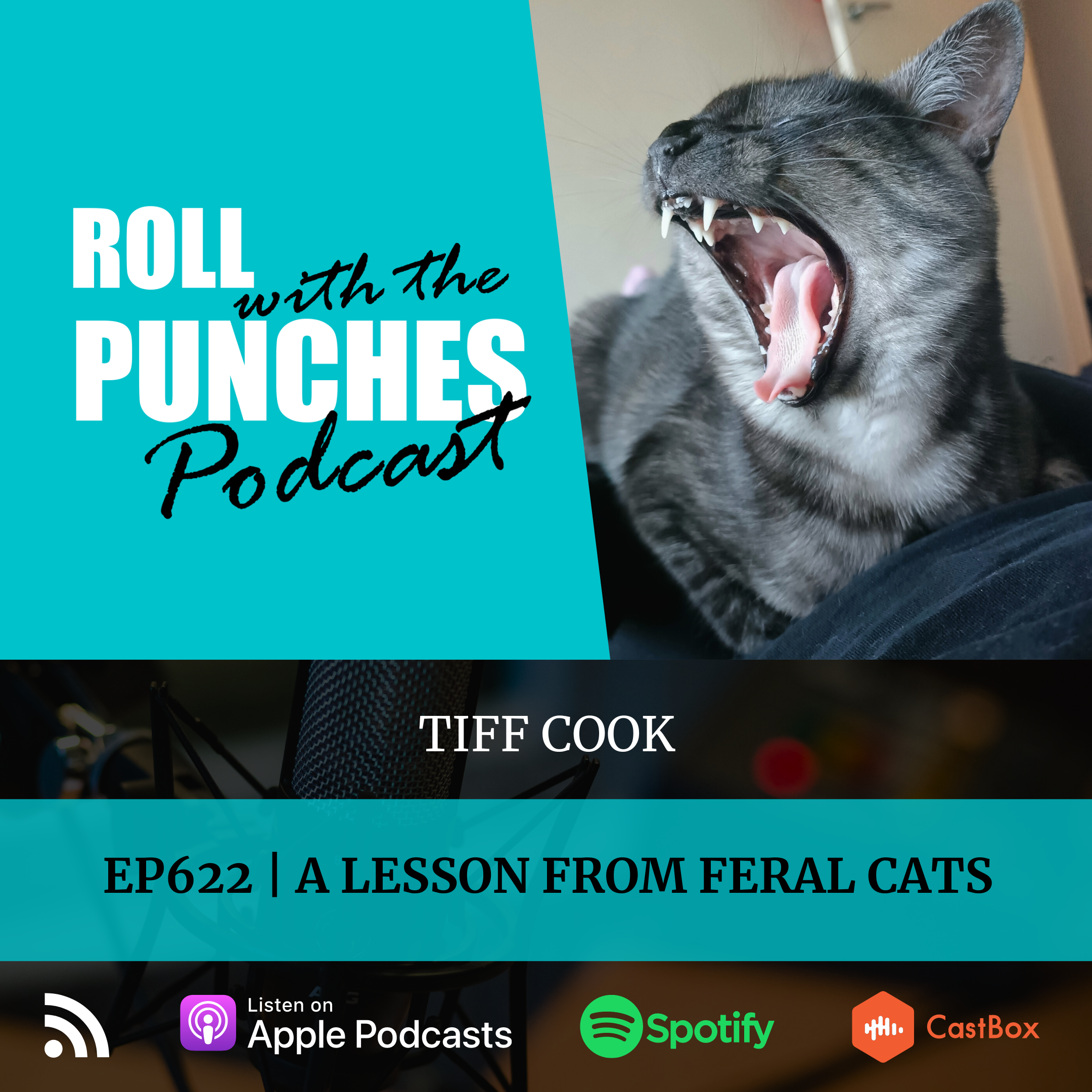 A Lesson From Feral Cats | Tiffanee Cook - 622