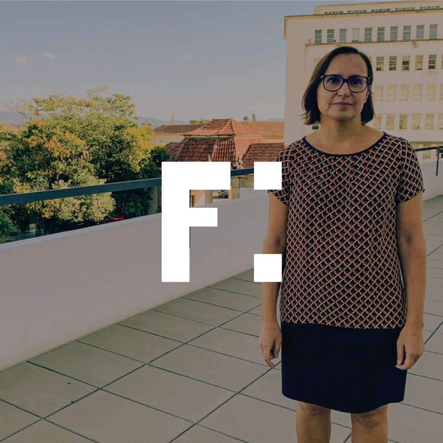 Ana Cordeiro Santos sobre a financeirização da habitação (Entrevista)