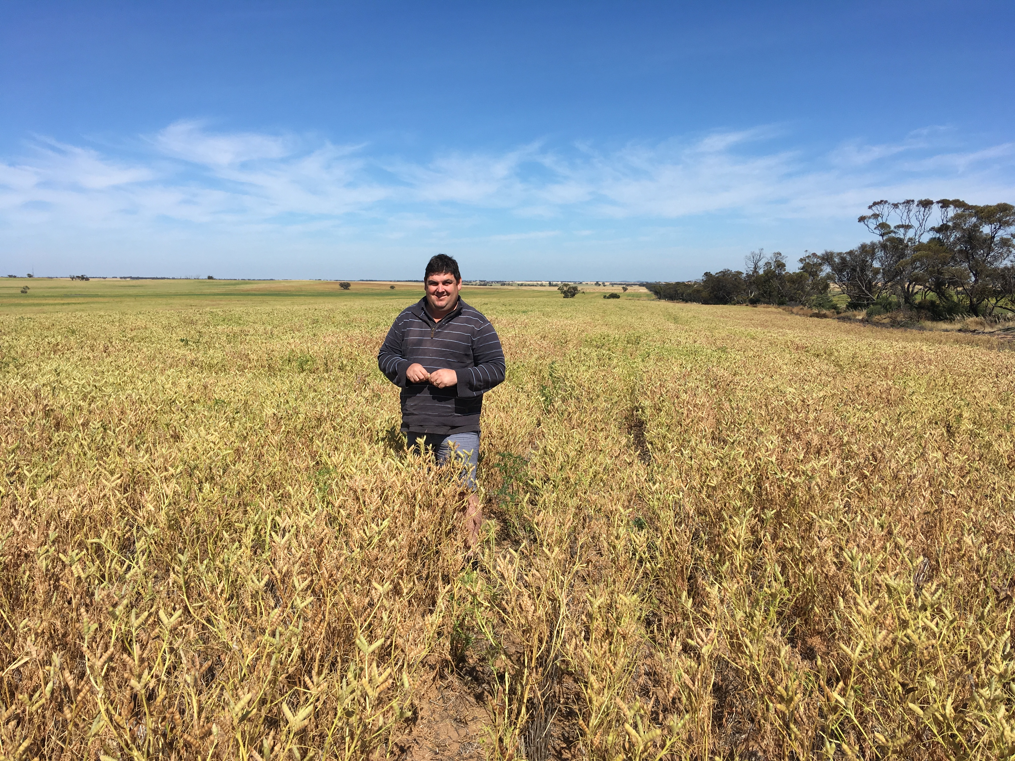 Improving production on sands to improve ground cover with Michael Moodie