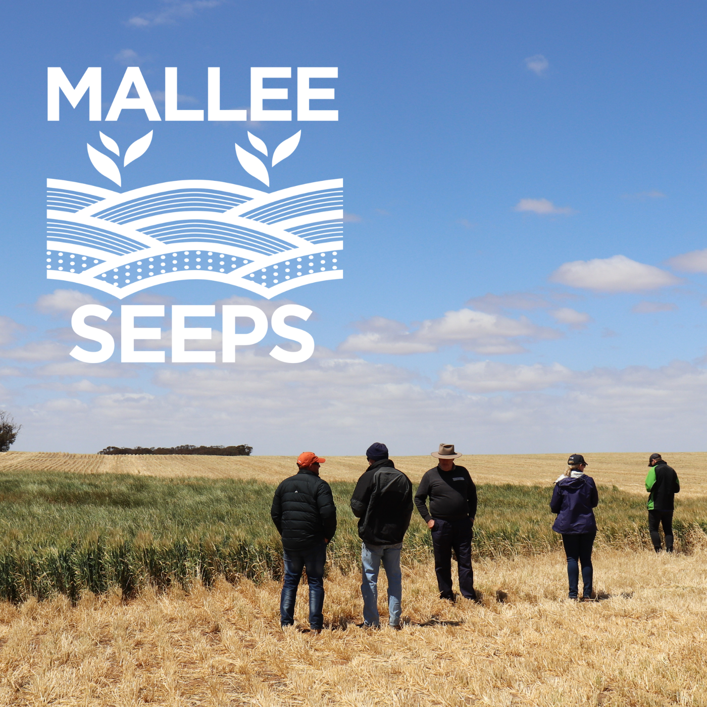 Seeps in the Victorian Mallee