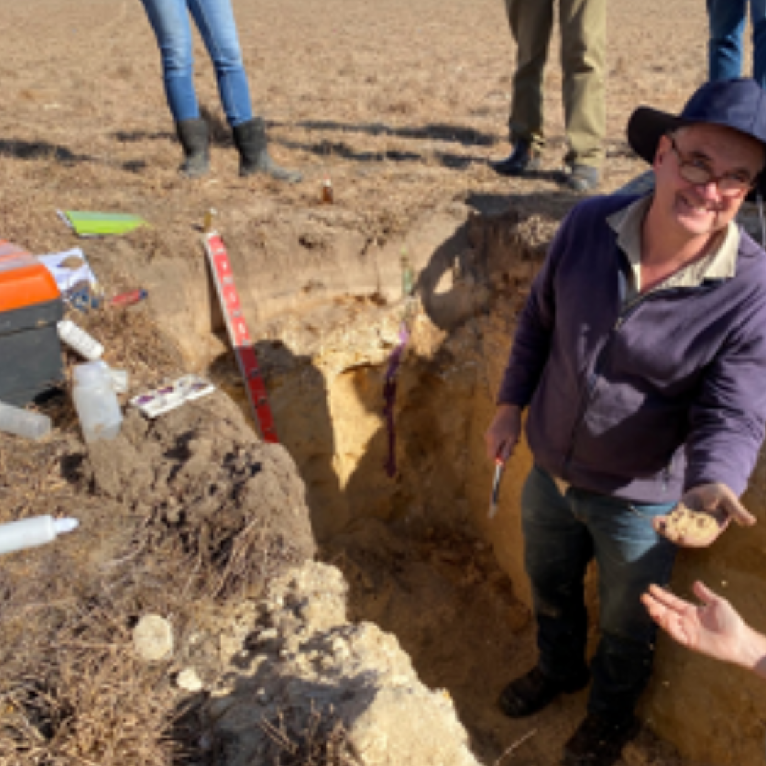 Managing Soil Acidity with Brian Hughes