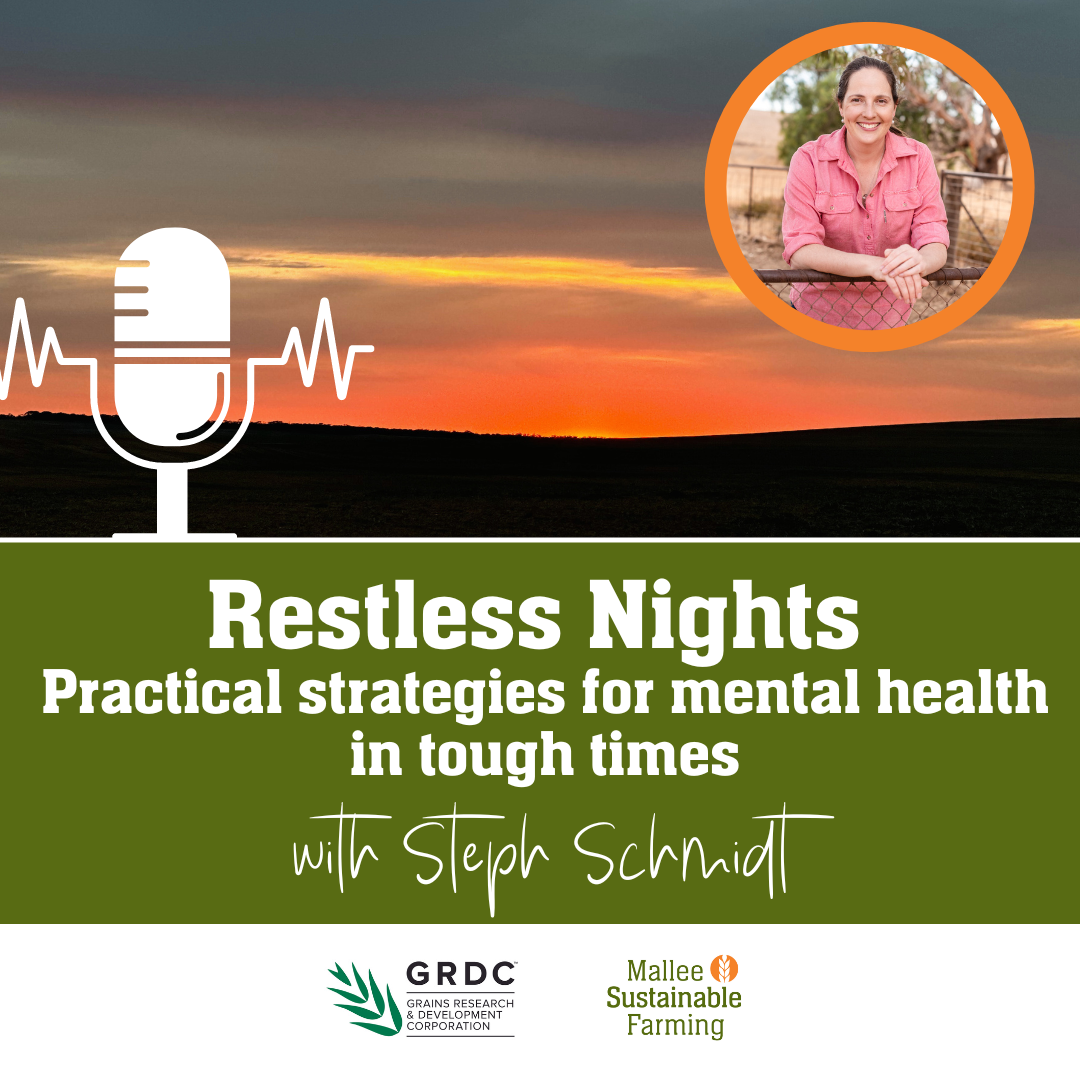 Restless Nights - Practical Strategies for Mental Health in Tough Times with Steph Schmidt