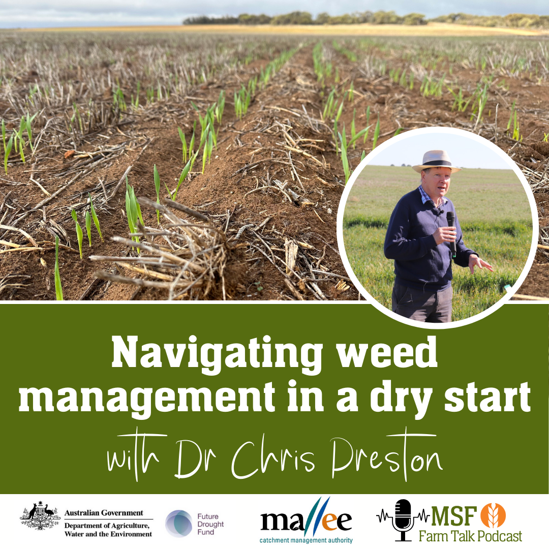 Navigating weed management in a dry start