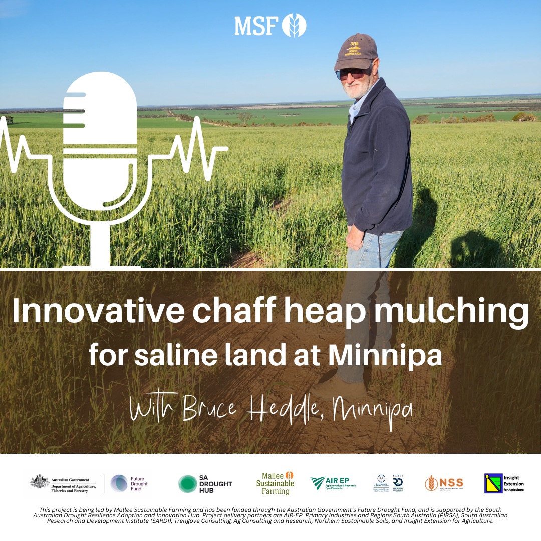 Innovative Chaff Heap Mulching for Saline Land at Minnipa