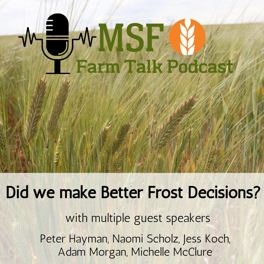 Did we make 'Better Frost Decisions'? - Issue 3 December