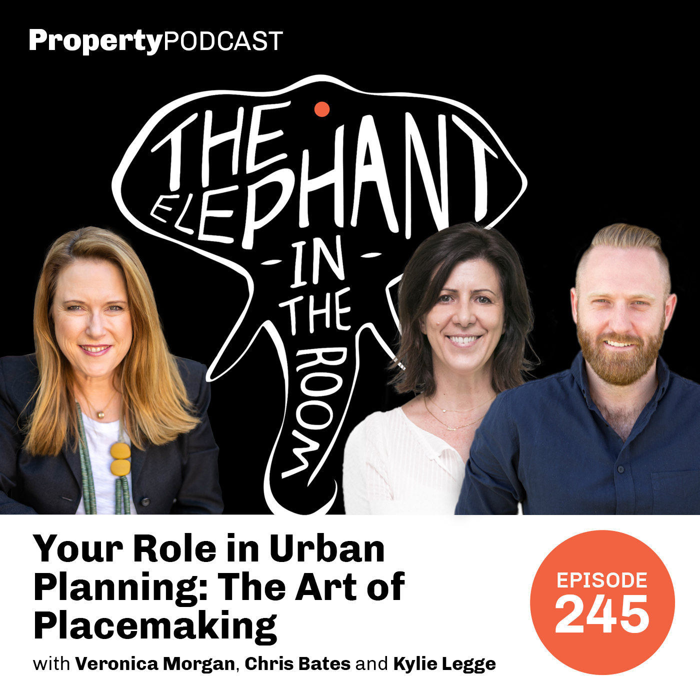 Your Role in Urban Planning: The Art of Placemaking | Kylie Legge, Place Score