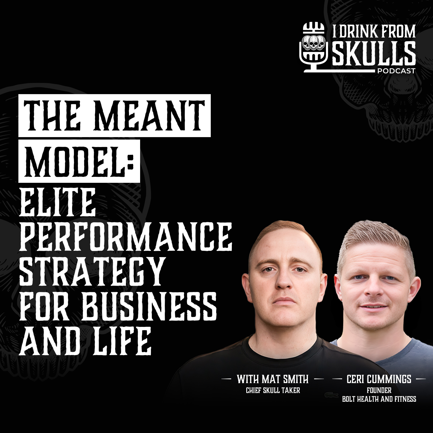 The MEANT Model: Elite Performance Strategy For Business And Life