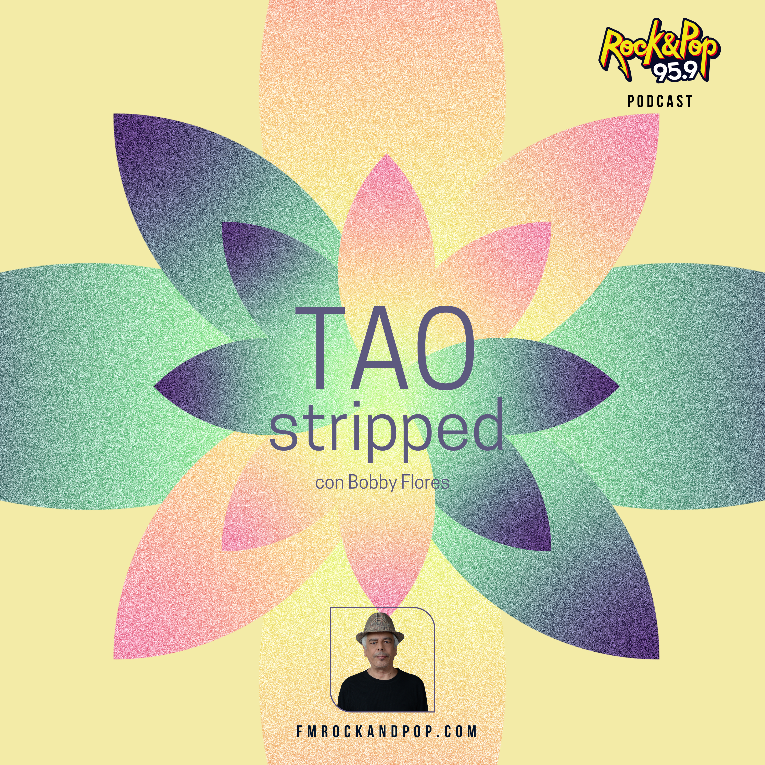 TAO Stripped 101